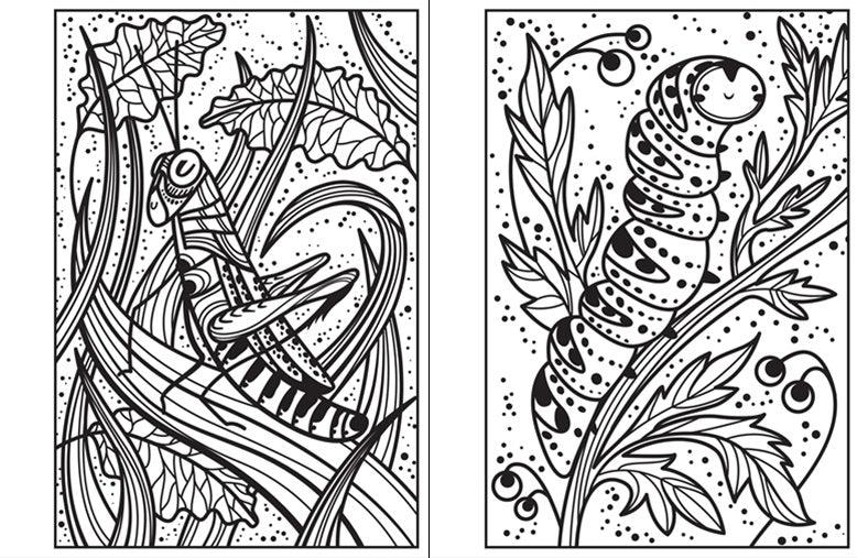 USBORNE - Magic Painting Bugs - Usborne Minis - Spectrawide Bookstore