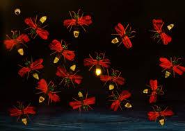 Eric Carle - The Very Lonely Firefly - Spectrawide Bookstore