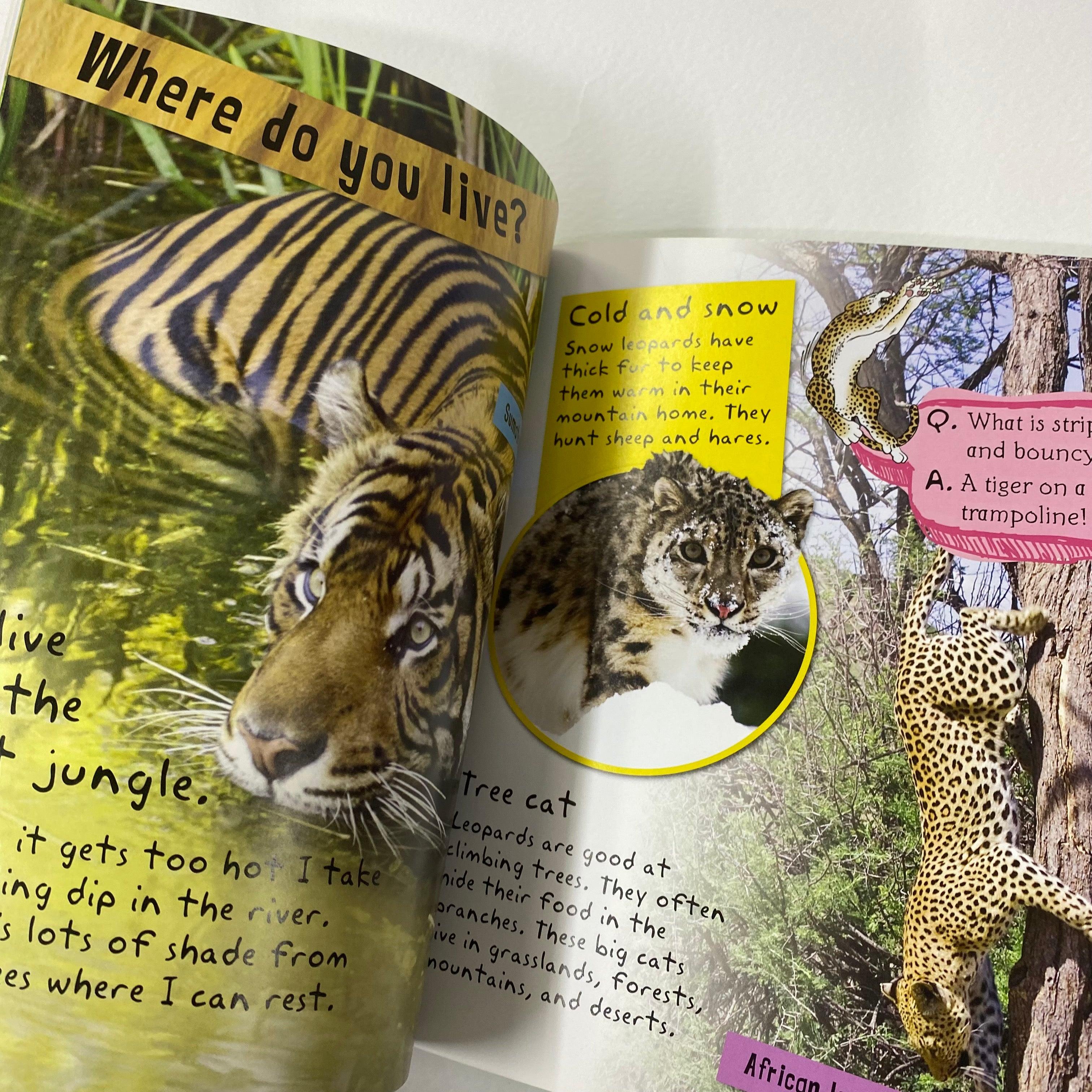 I Am a Big Cat - Includes Stickers, Activities and Story - Spectrawide Bookstore