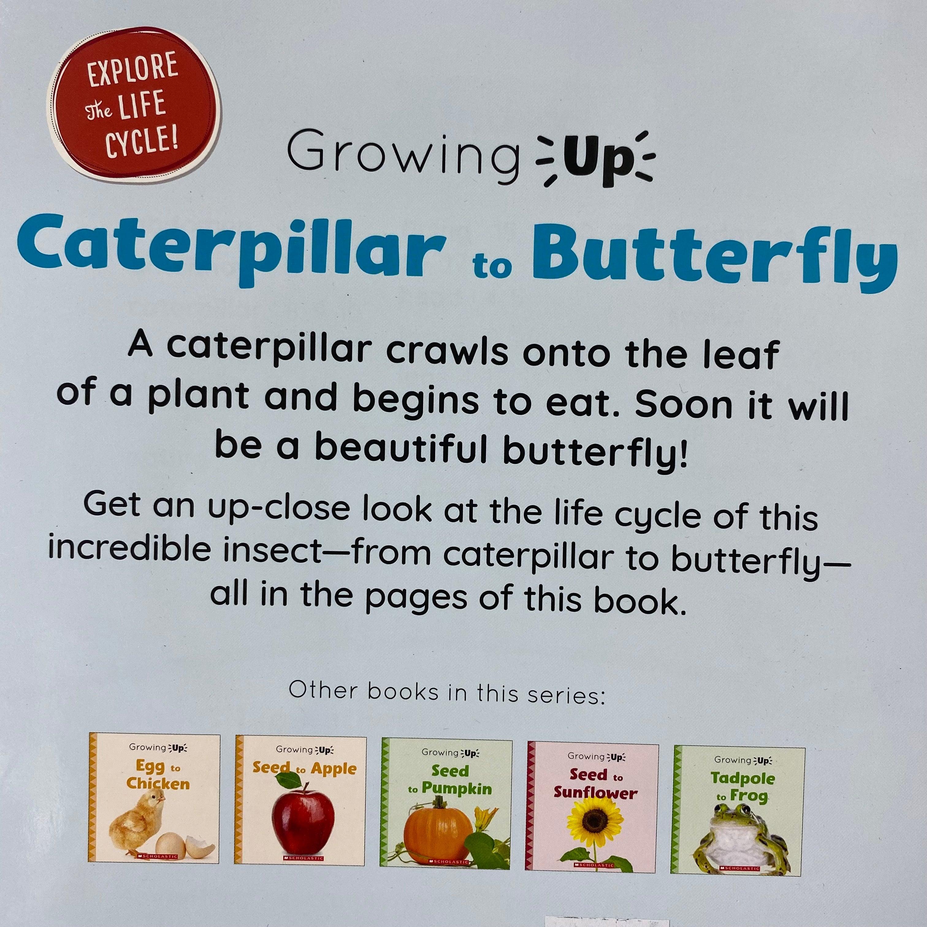 Growing Up - Caterpillar to Butterfly - Spectrawide Bookstore