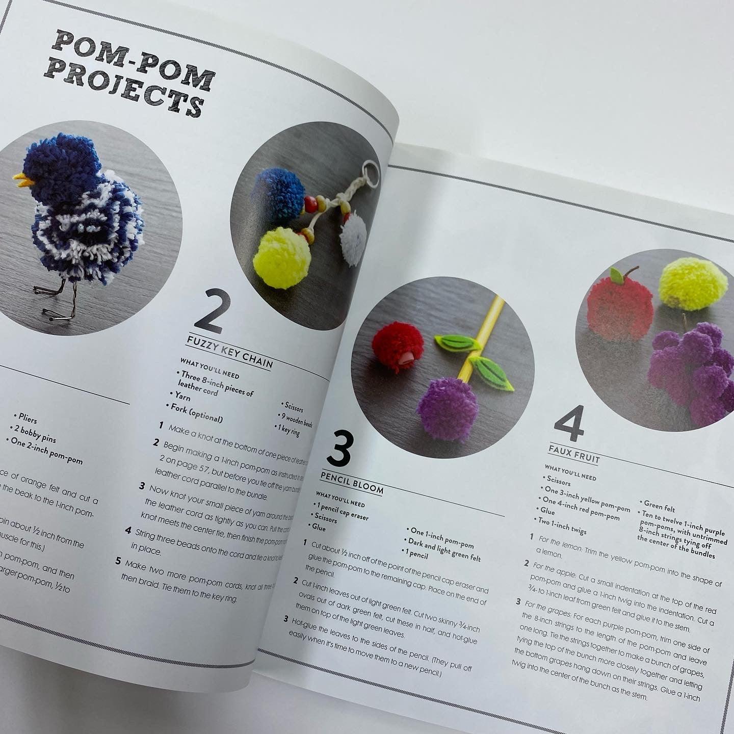 Project Kid - 100 Ingenious Crafts for Family Fun - Spectrawide Bookstore