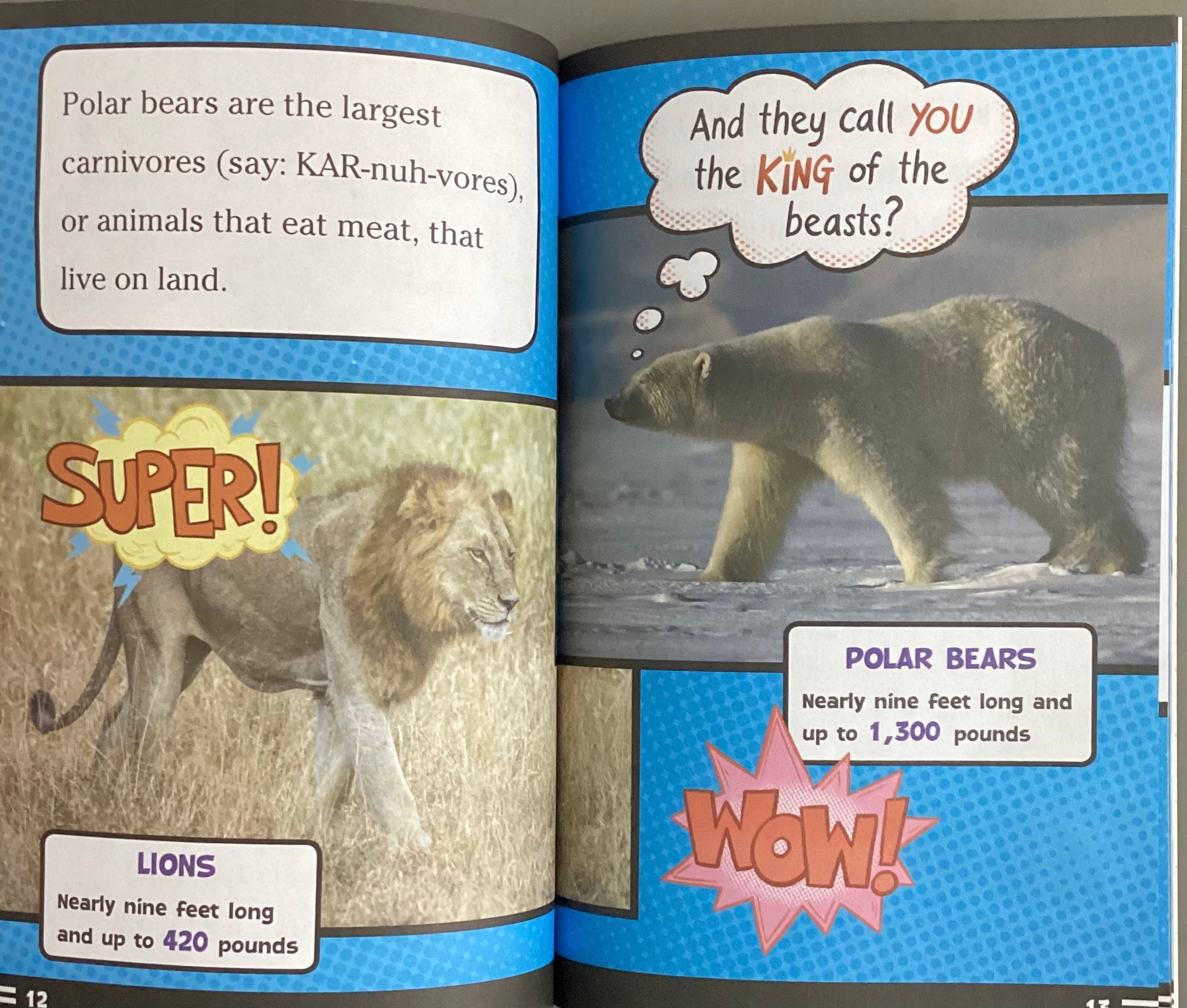 Ready To Read - Level 2 - Super Facts For Super Kids - Polar Bear Fur Isn't White! And Other Amazing Facts - Spectrawide Bookstore