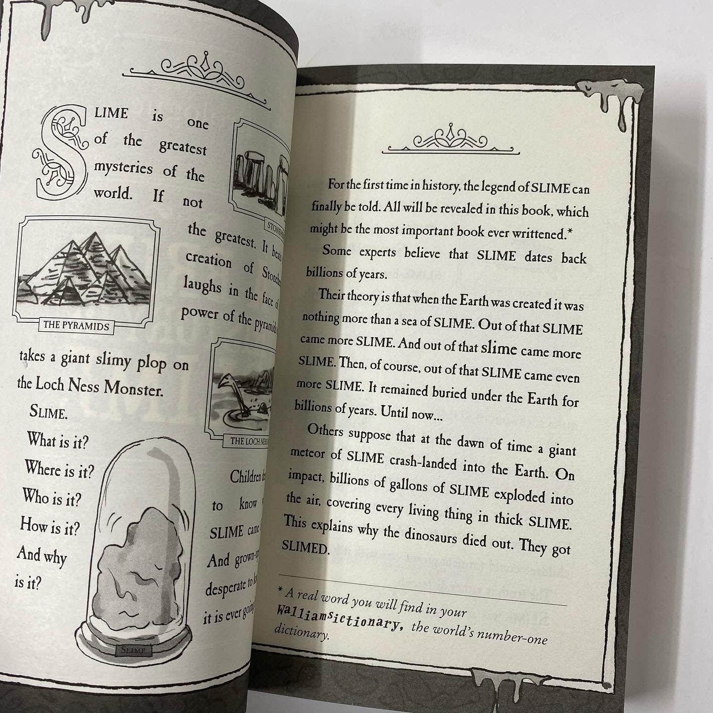 David Walliams - Slime (Paperback) - Spectrawide Bookstore