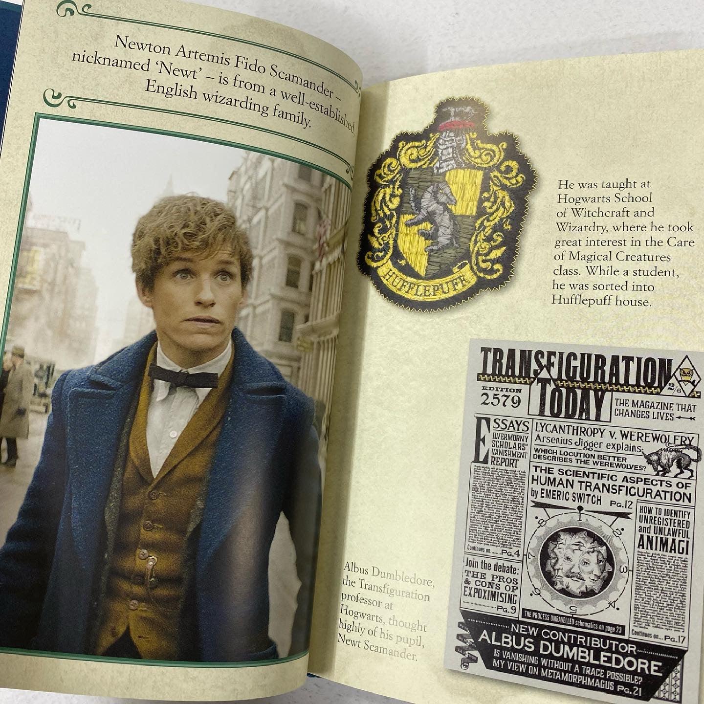 Fantastic Beasts and Where to Find Them Newt Scamander - Spectrawide Bookstore