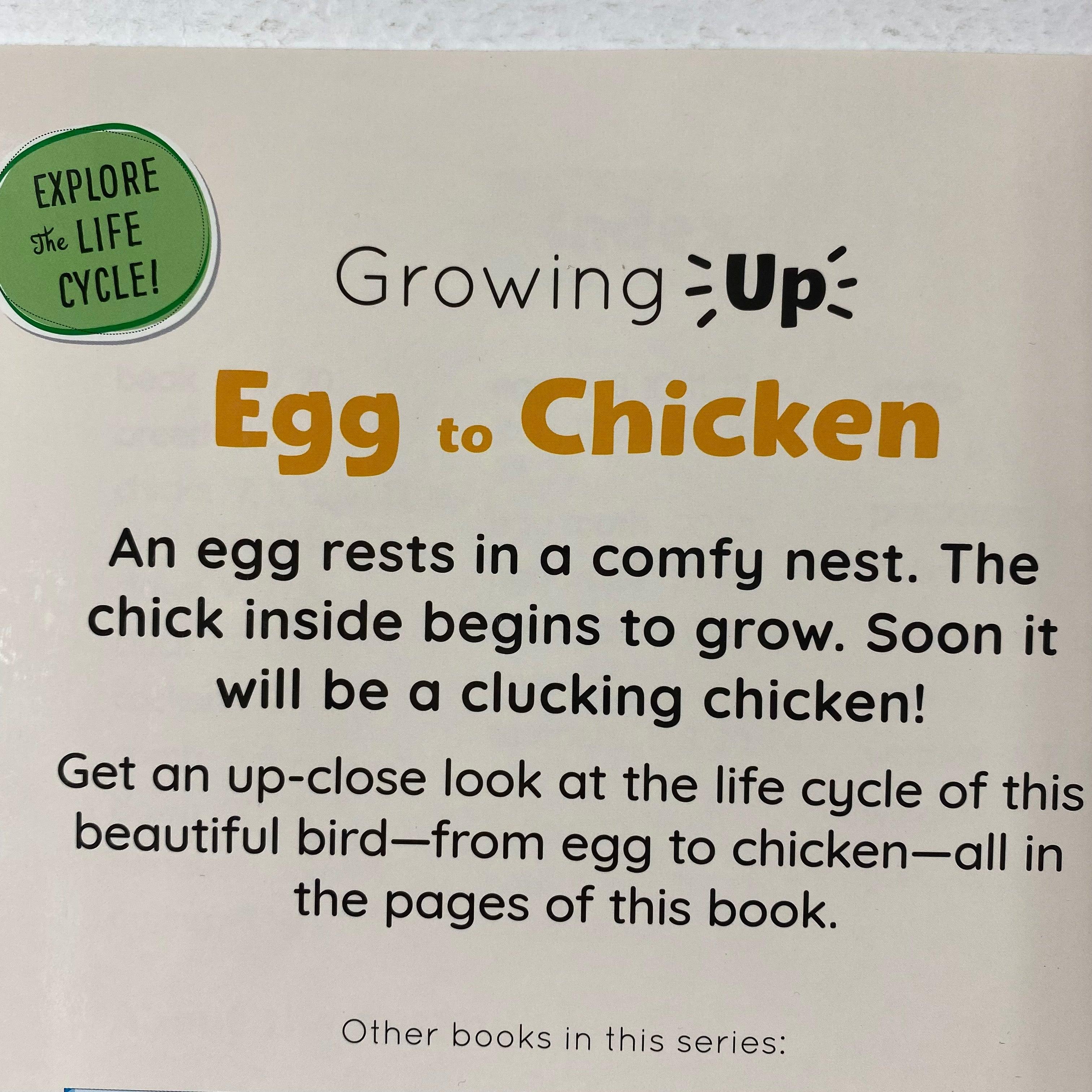 Growing Up - Egg To Chicken - Spectrawide Bookstore
