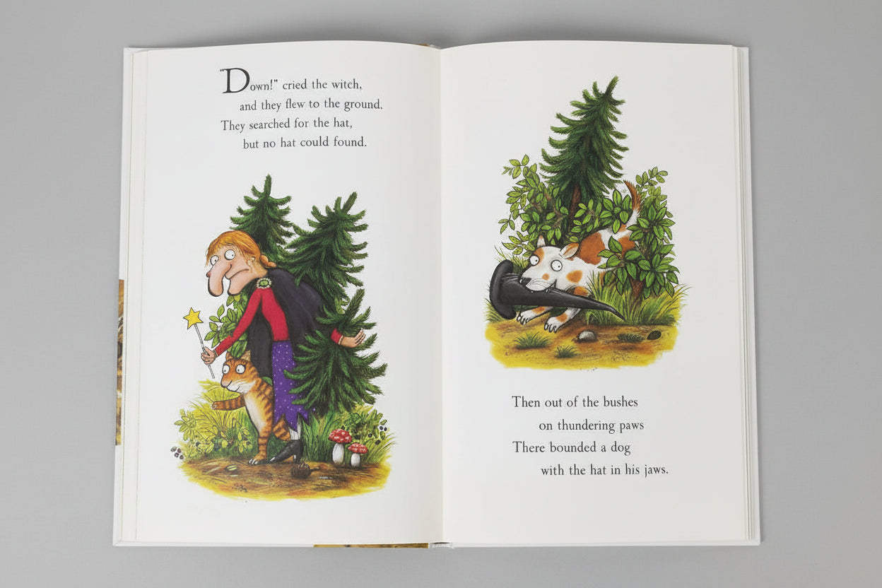 Julia Donaldson - Room On The Broom - Large Board Book - Spectrawide Bookstore