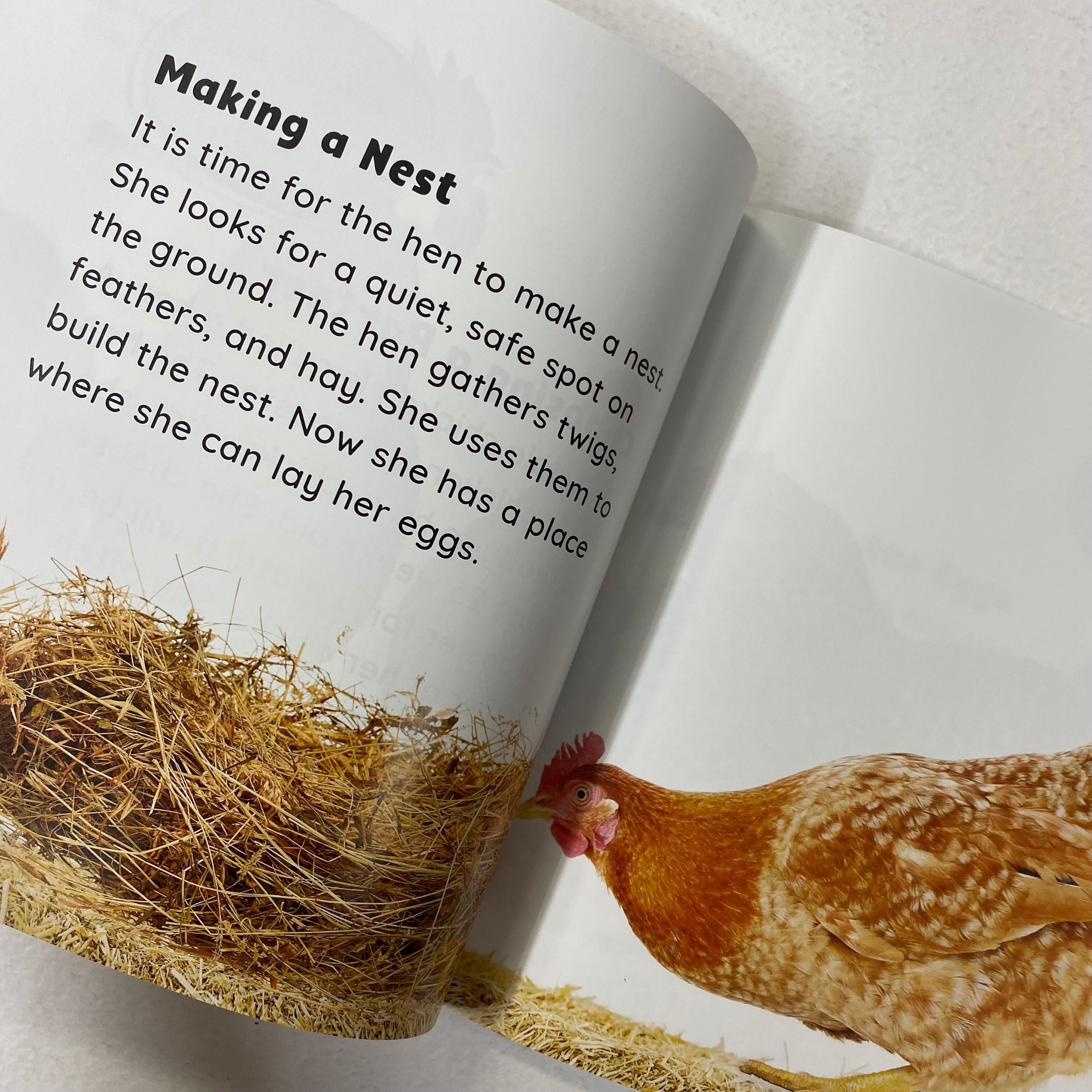 Growing Up - Egg To Chicken - Spectrawide Bookstore