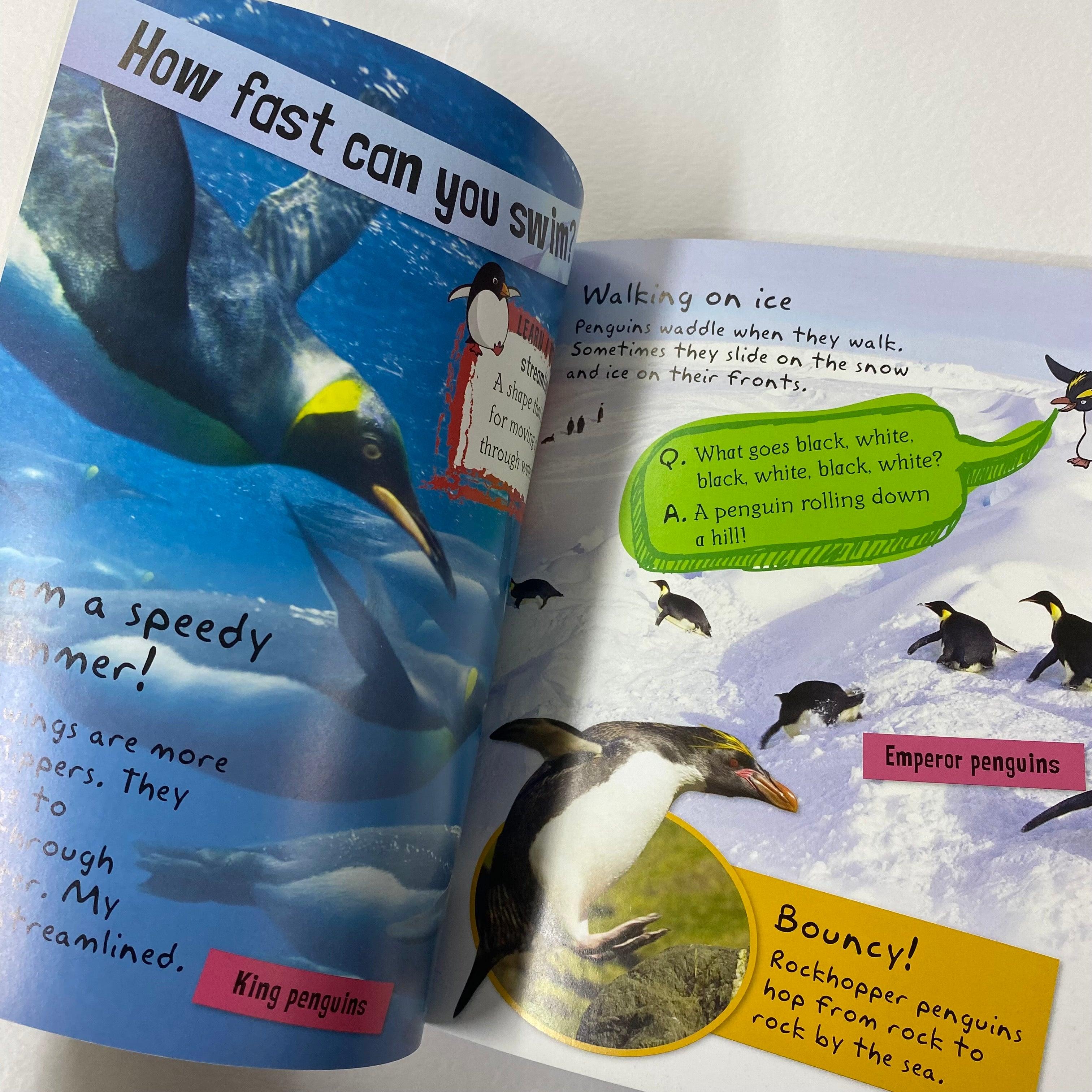 I Am A Penguin - Includes Stickers, Activities and Story - Spectrawide Bookstore