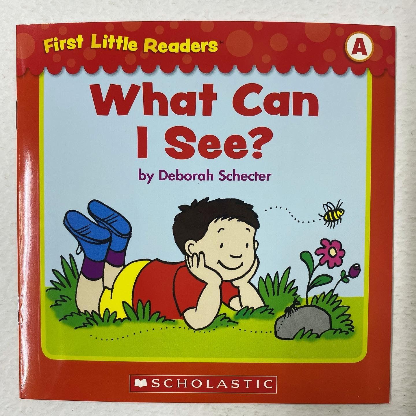 First Little Readers - Guided Reading Level A - 25 Irresistible Books That Are Just the Right Level for Beginning Readers - Spectrawide Bookstore