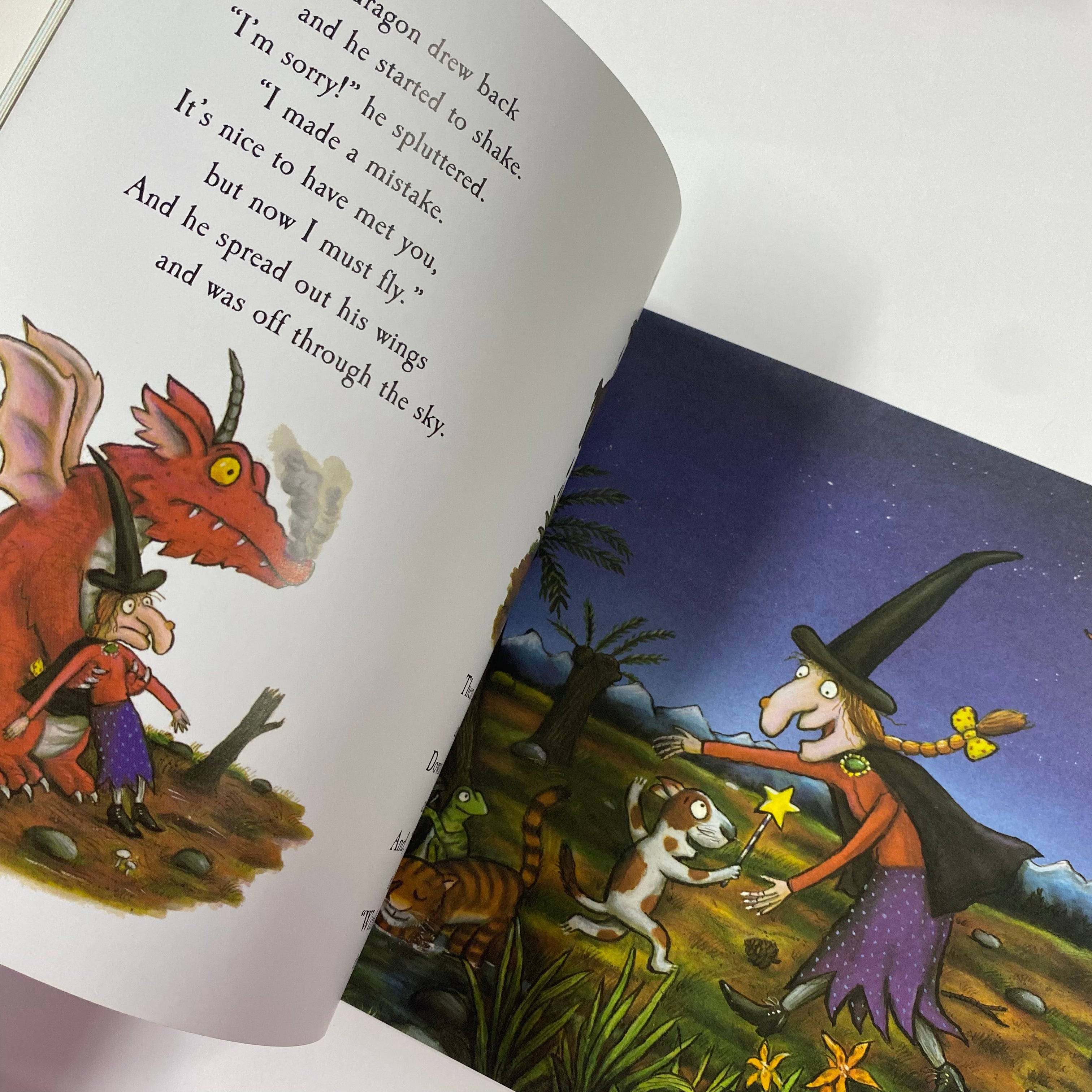 Room on the Broom - Paperback - Spectrawide Bookstore