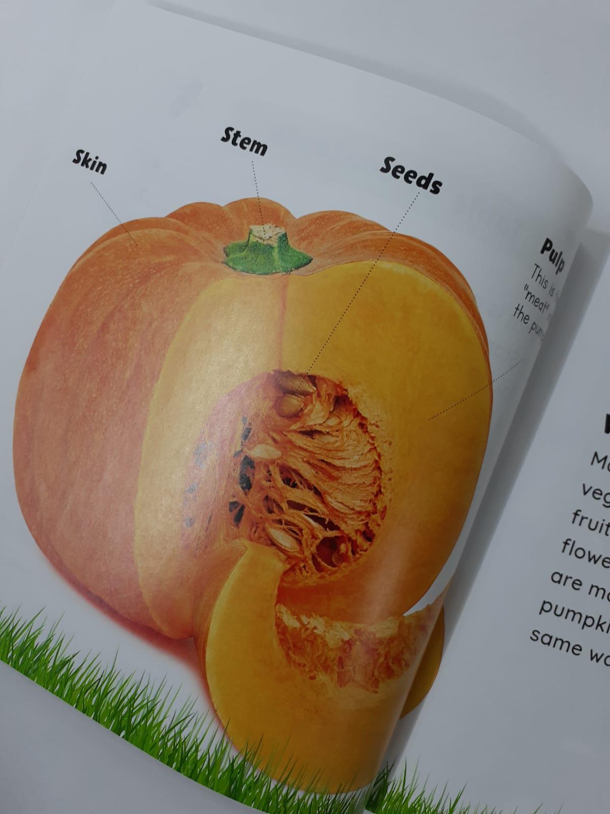 Growing Up - Seed To Pumpkin - Spectrawide Bookstore