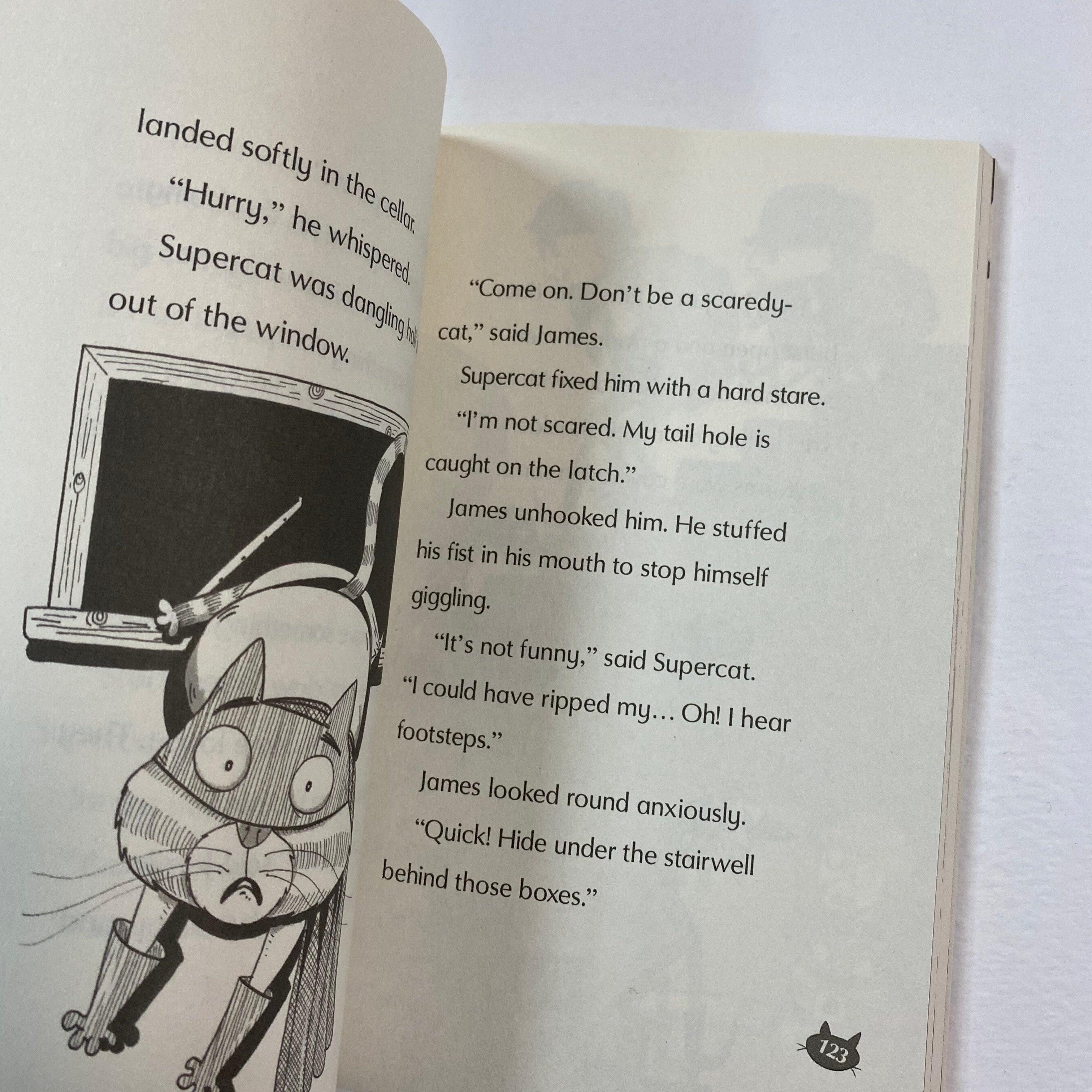 Super Cat VS. The Chef Thief - Spectrawide Bookstore