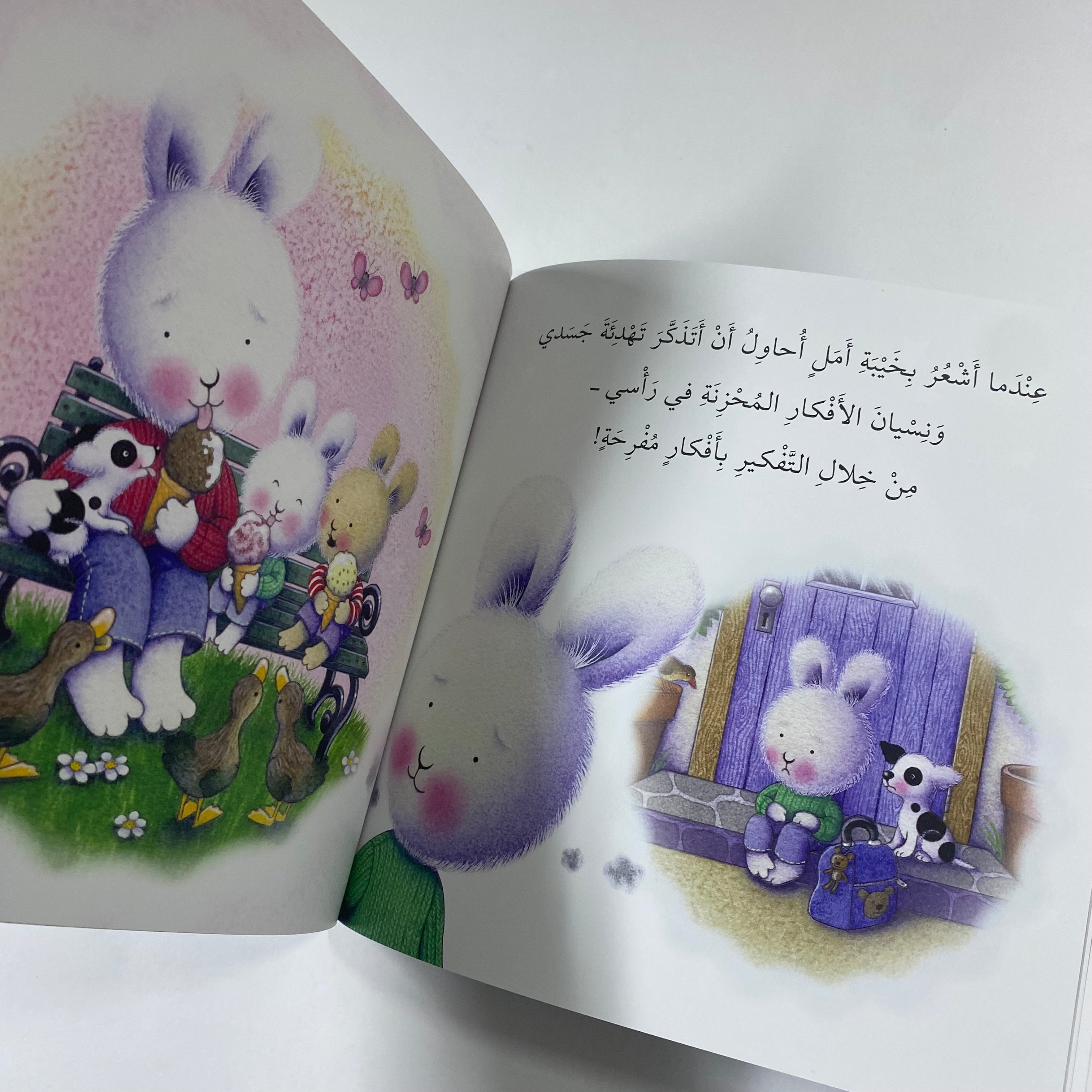 When I Am Feeling Disappointed - سلسلة المشاعر عندما اشعر بخيبة الامل - Spectrawide Bookstore