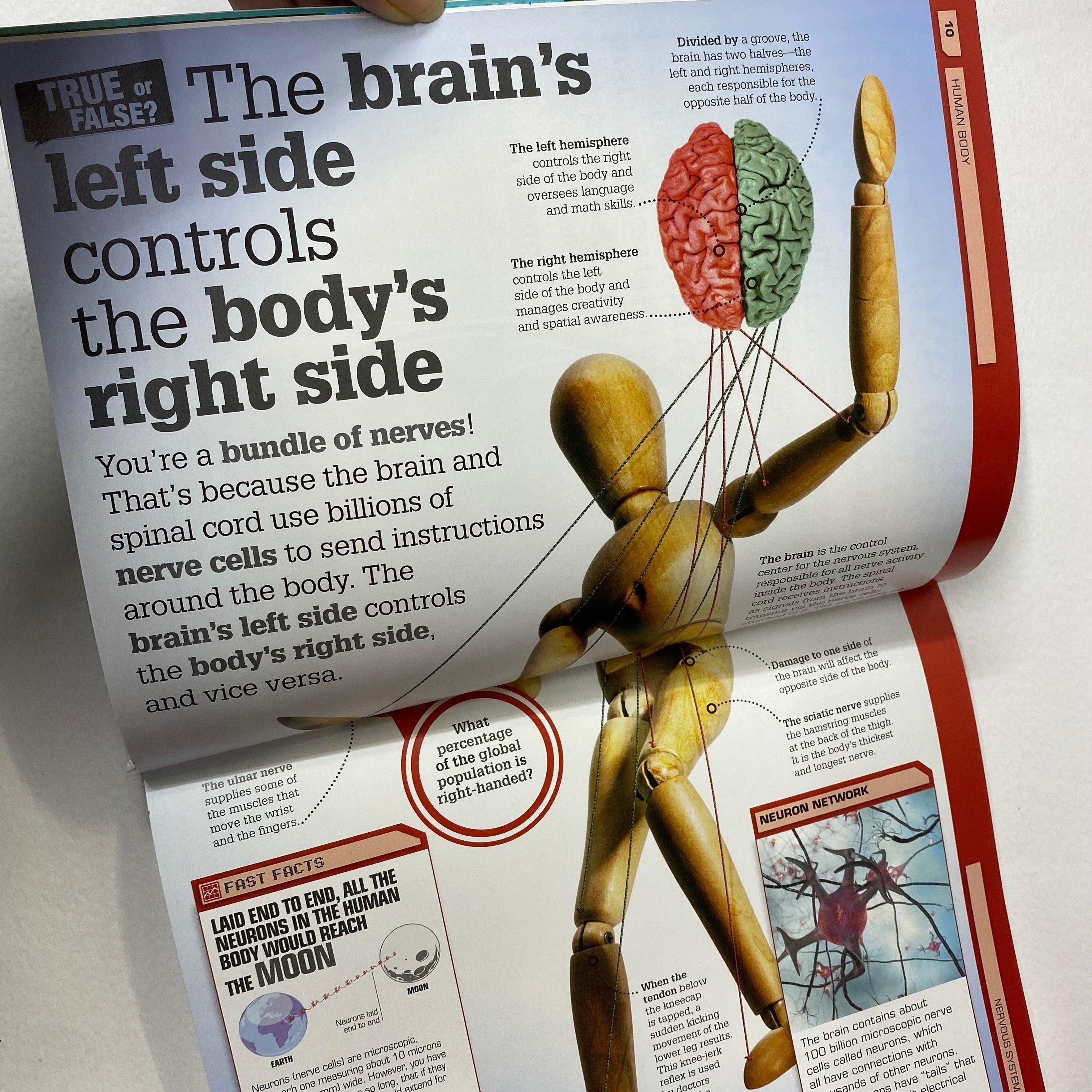 DK - True or False? - The Big Book of Big Questions & Unbelievable Answers - Spectrawide Bookstore