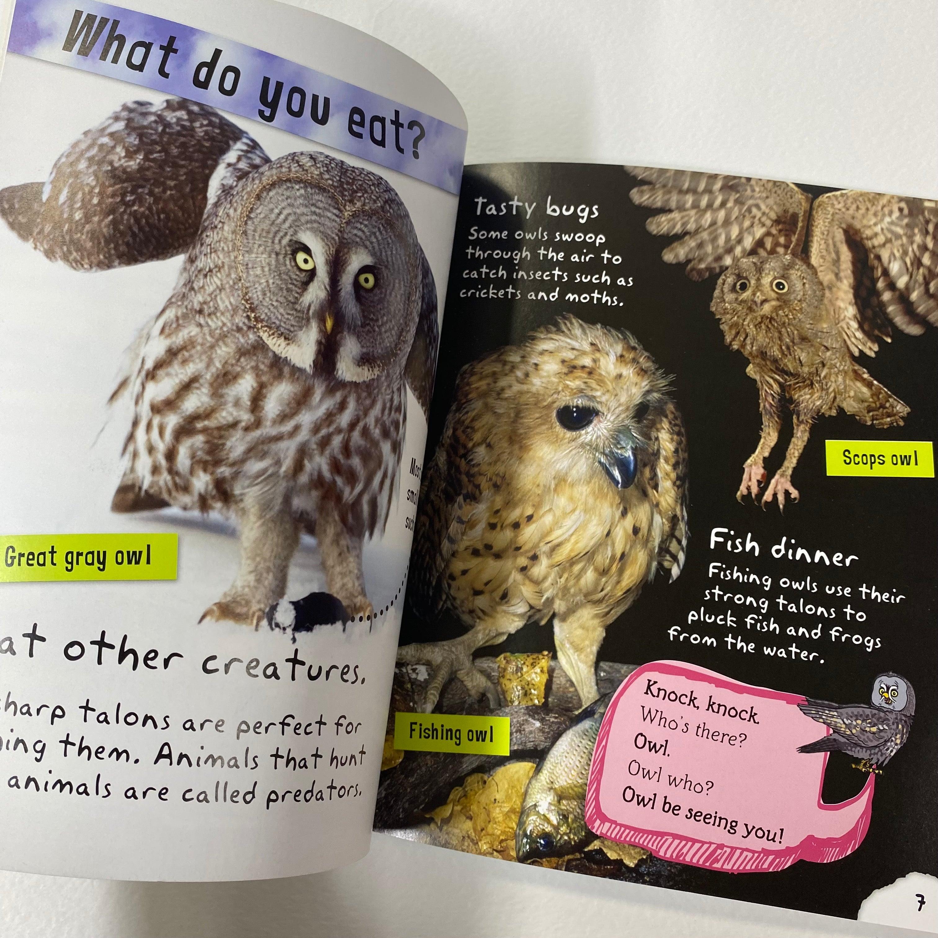 I am an owl - Includes Stickers, Activities and Story - Spectrawide Bookstore