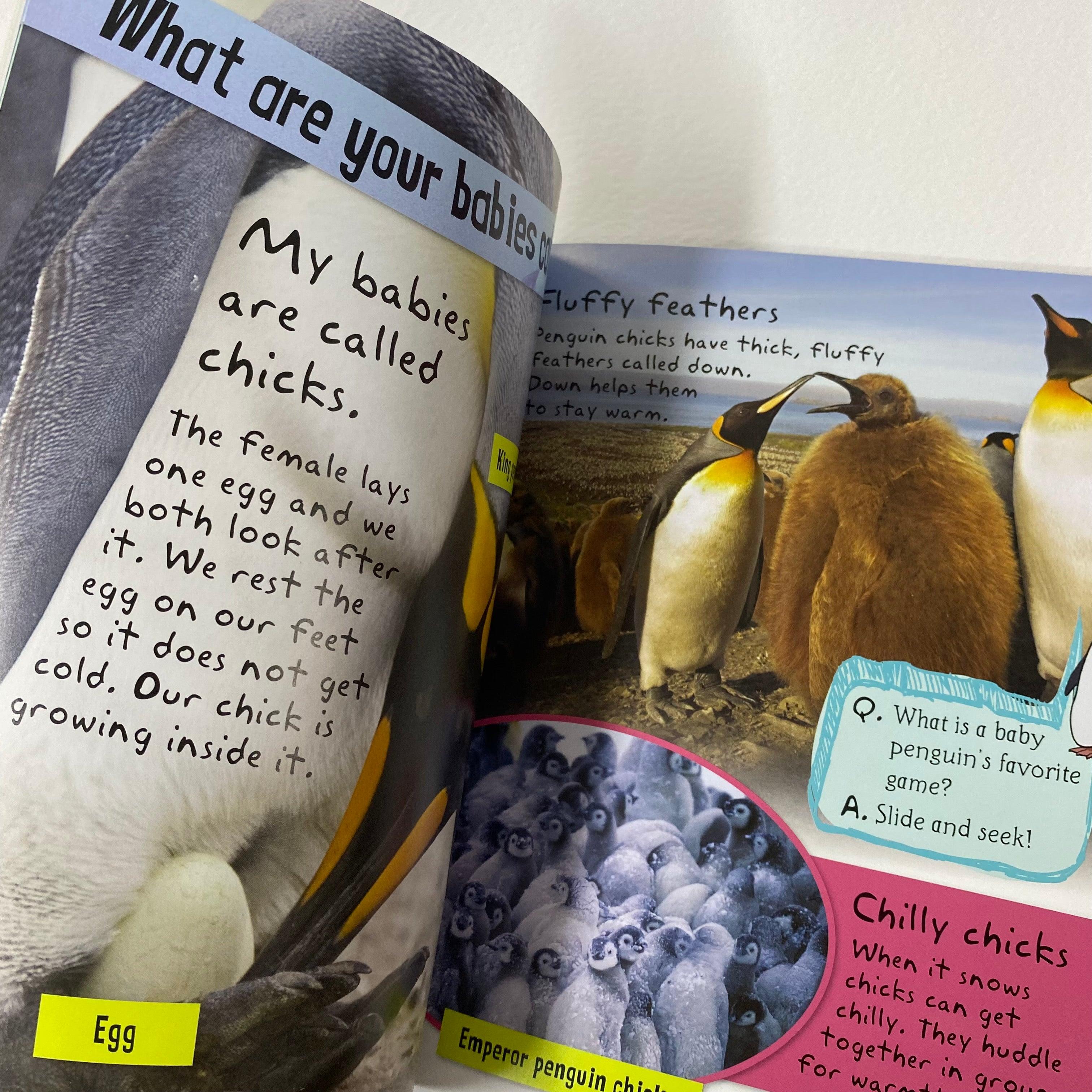 I Am A Penguin - Includes Stickers, Activities and Story - Spectrawide Bookstore
