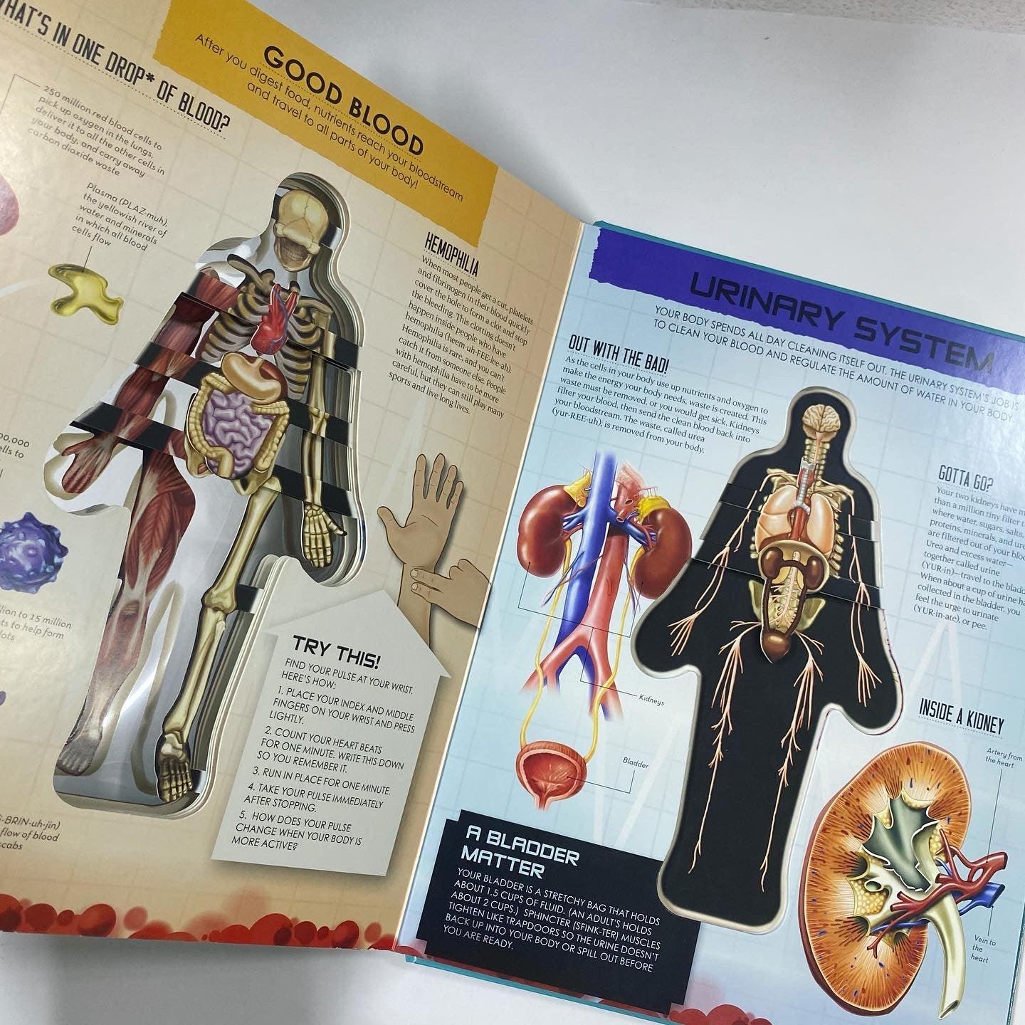 Inside Out Human Body - Explore the World's Most Amazing Machine-You! - Spectrawide Bookstore