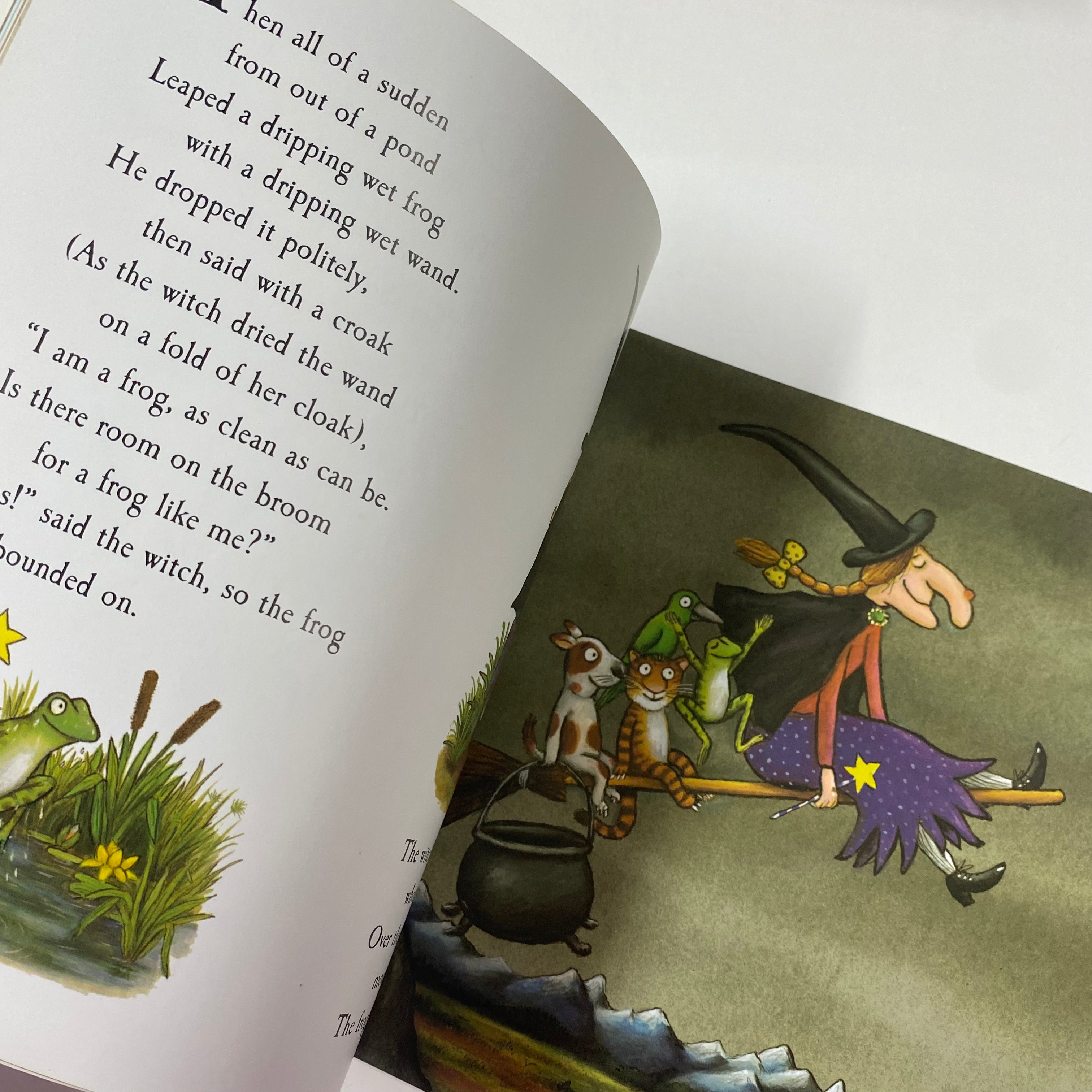 Room on the Broom - Paperback - Spectrawide Bookstore