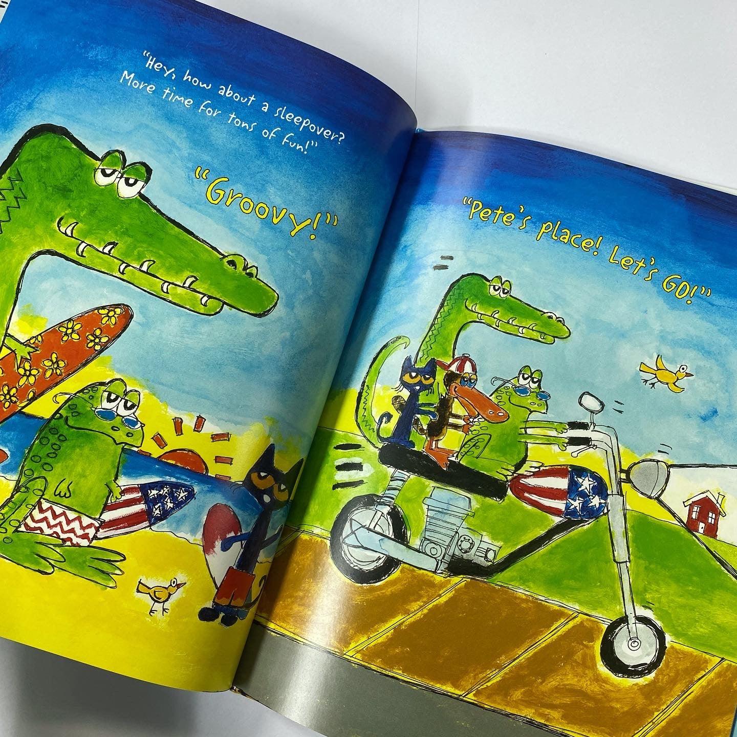 Pete the Cat and the Bedtime Blues - Spectrawide Bookstore