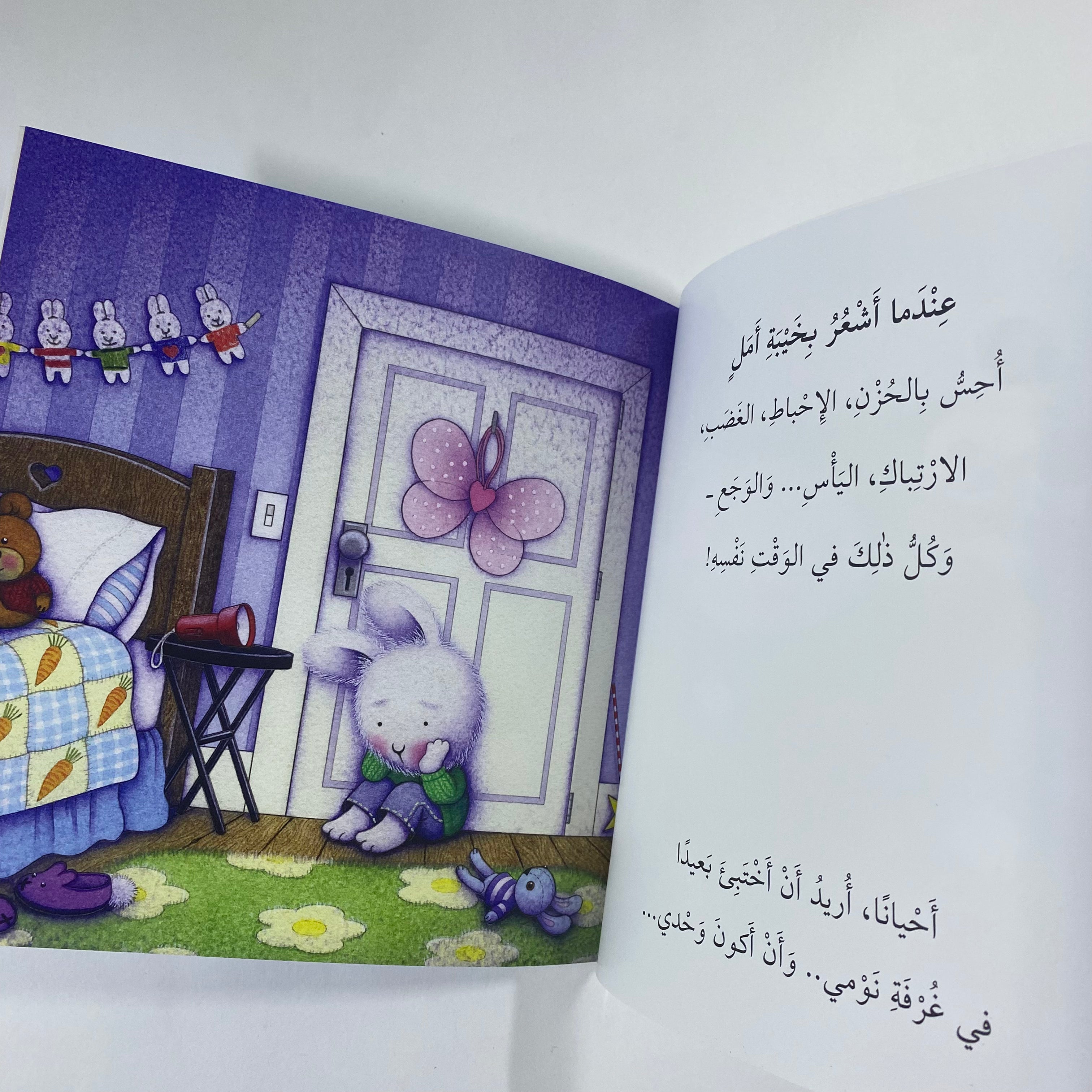 When I Am Feeling Disappointed - سلسلة المشاعر عندما اشعر بخيبة الامل - Spectrawide Bookstore