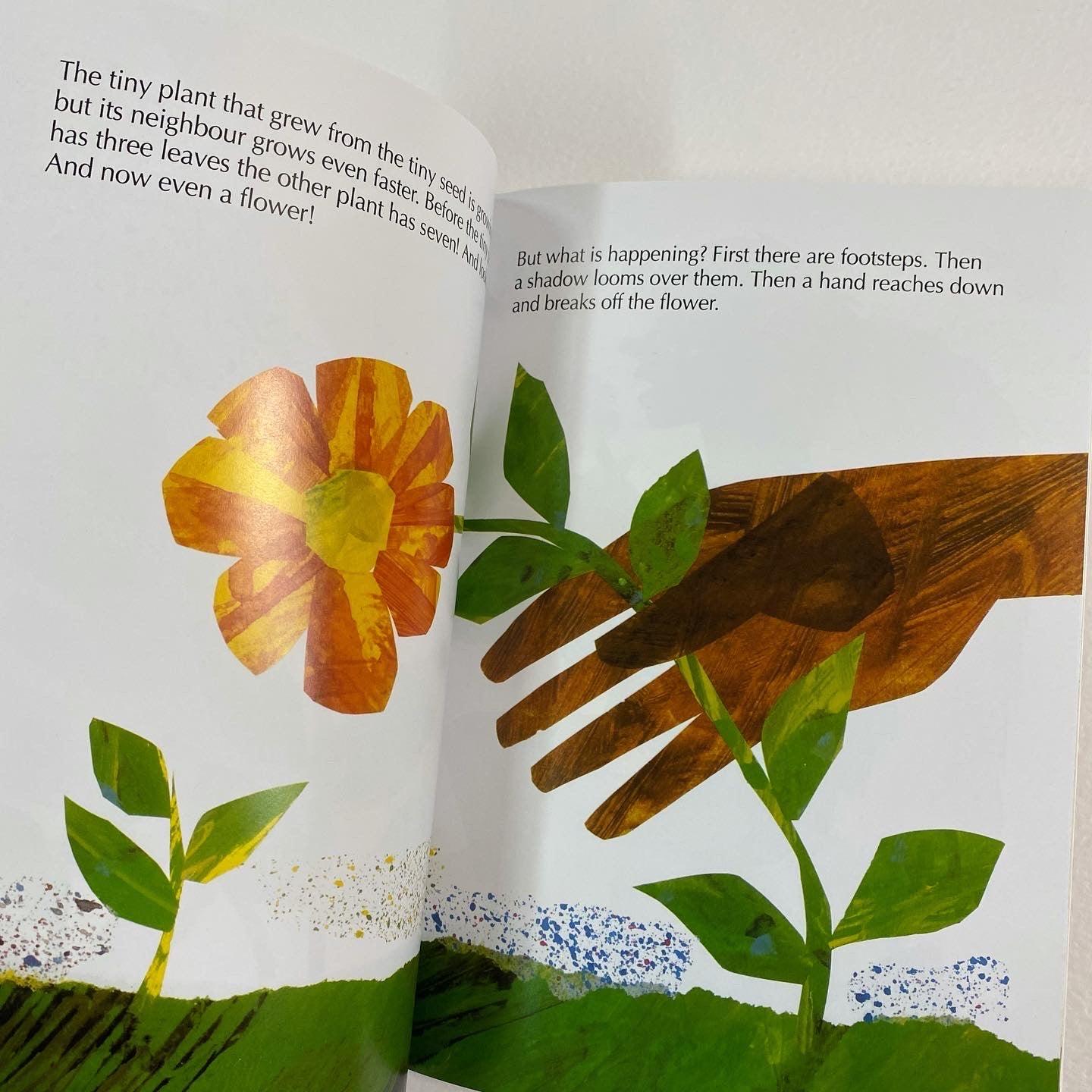 plant a tiny seed book Eric Carle - The Tiny Seed - إريك كارل