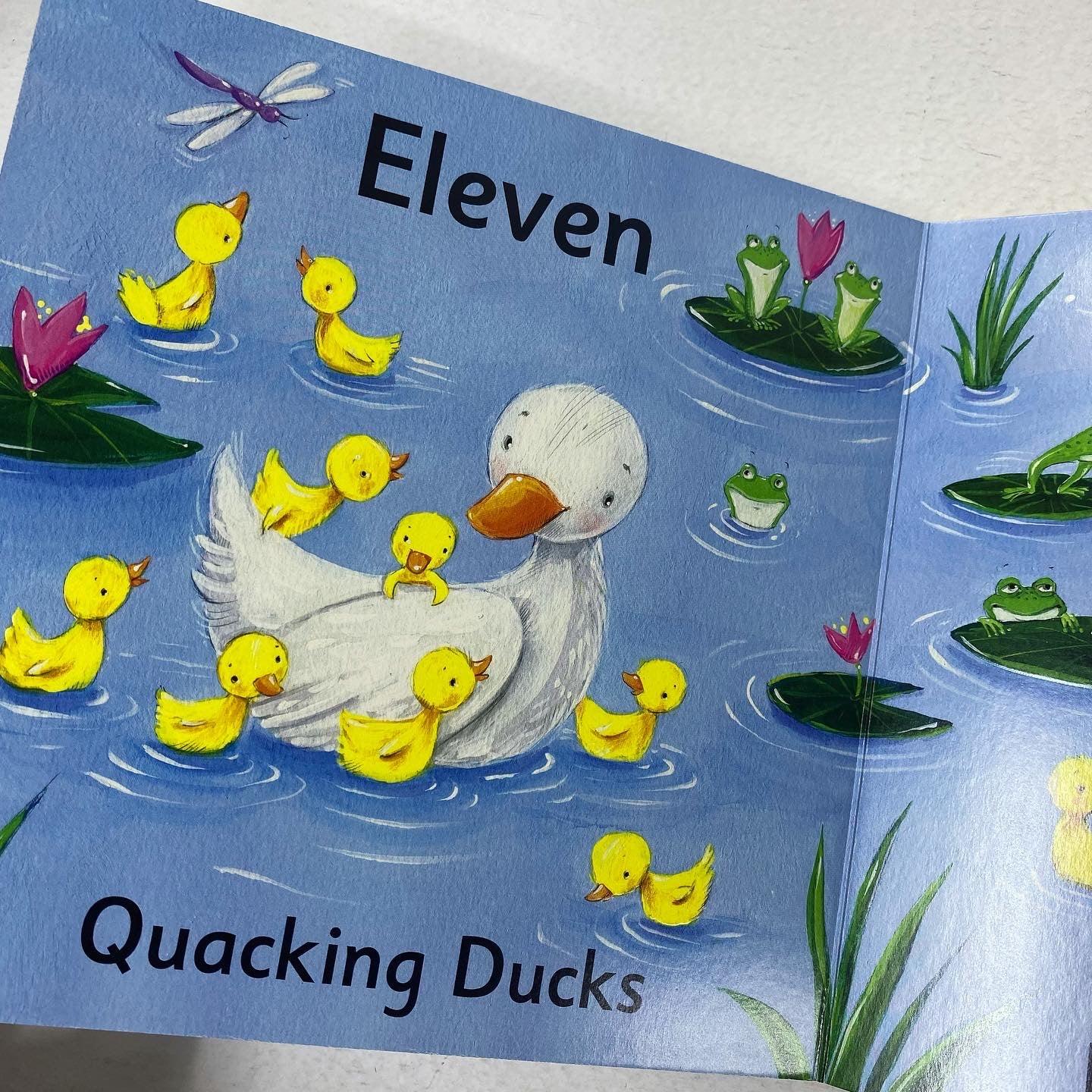 Animal Numbers - A Touch and Learn Book - Spectrawide Bookstore