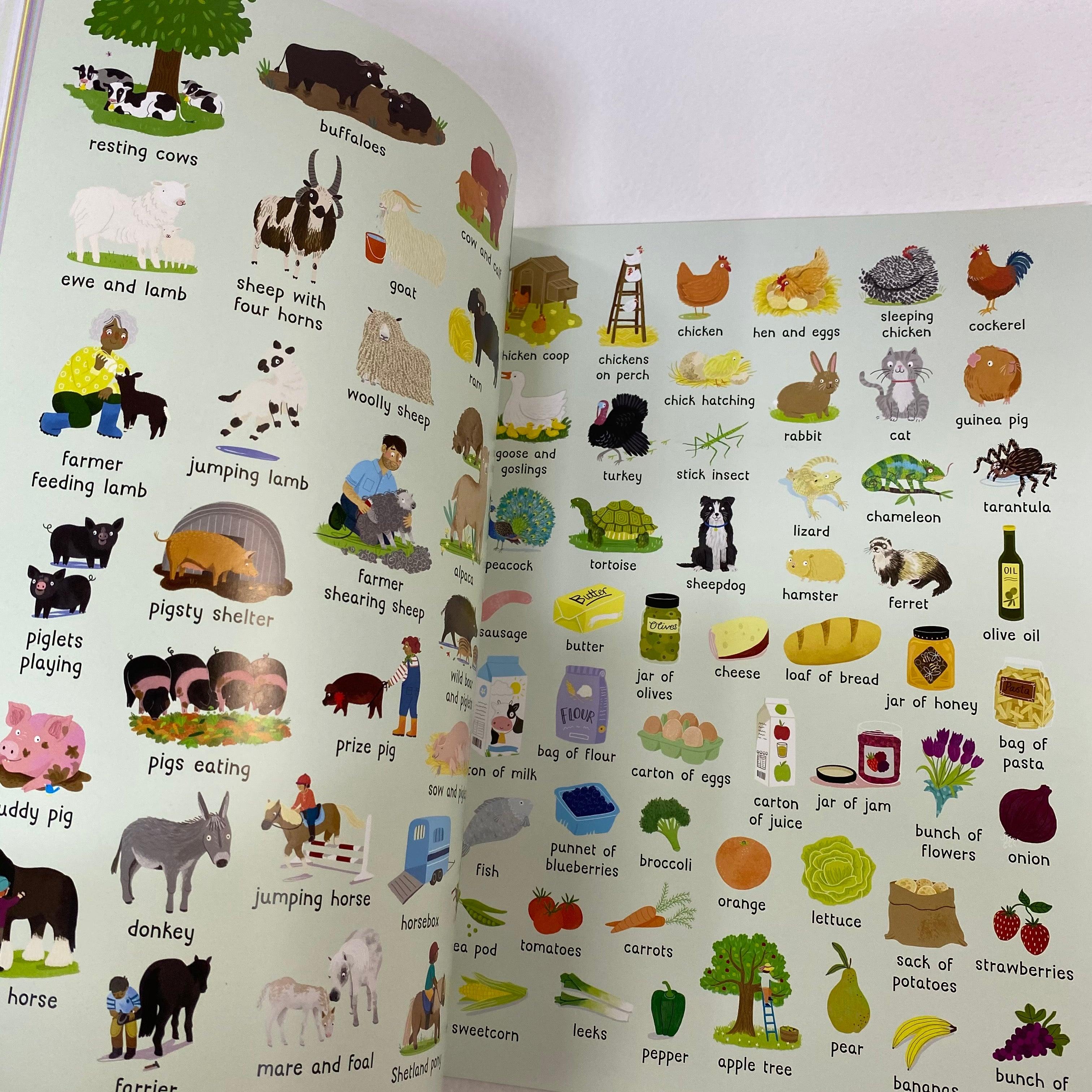 LOTS TO SPOT BIG STICKER ON THE FARM - Spectrawide Bookstore