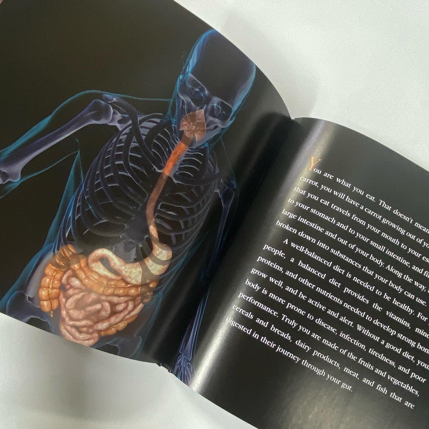GUTS - All About Our Digestive System! - Spectrawide Bookstore