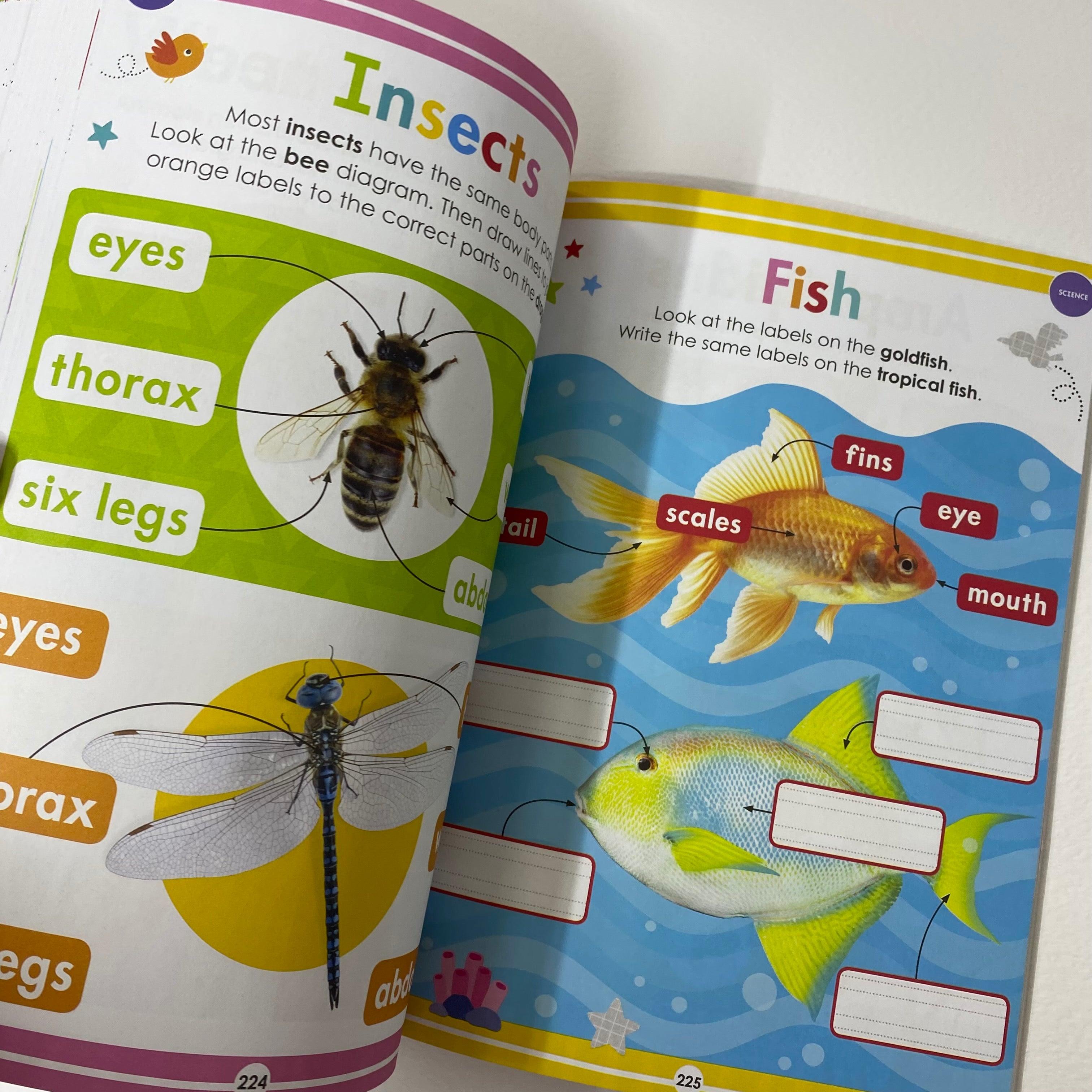 Scholastic Early Learners - Jumbo Workbook Kindergarten - Spectrawide Bookstore