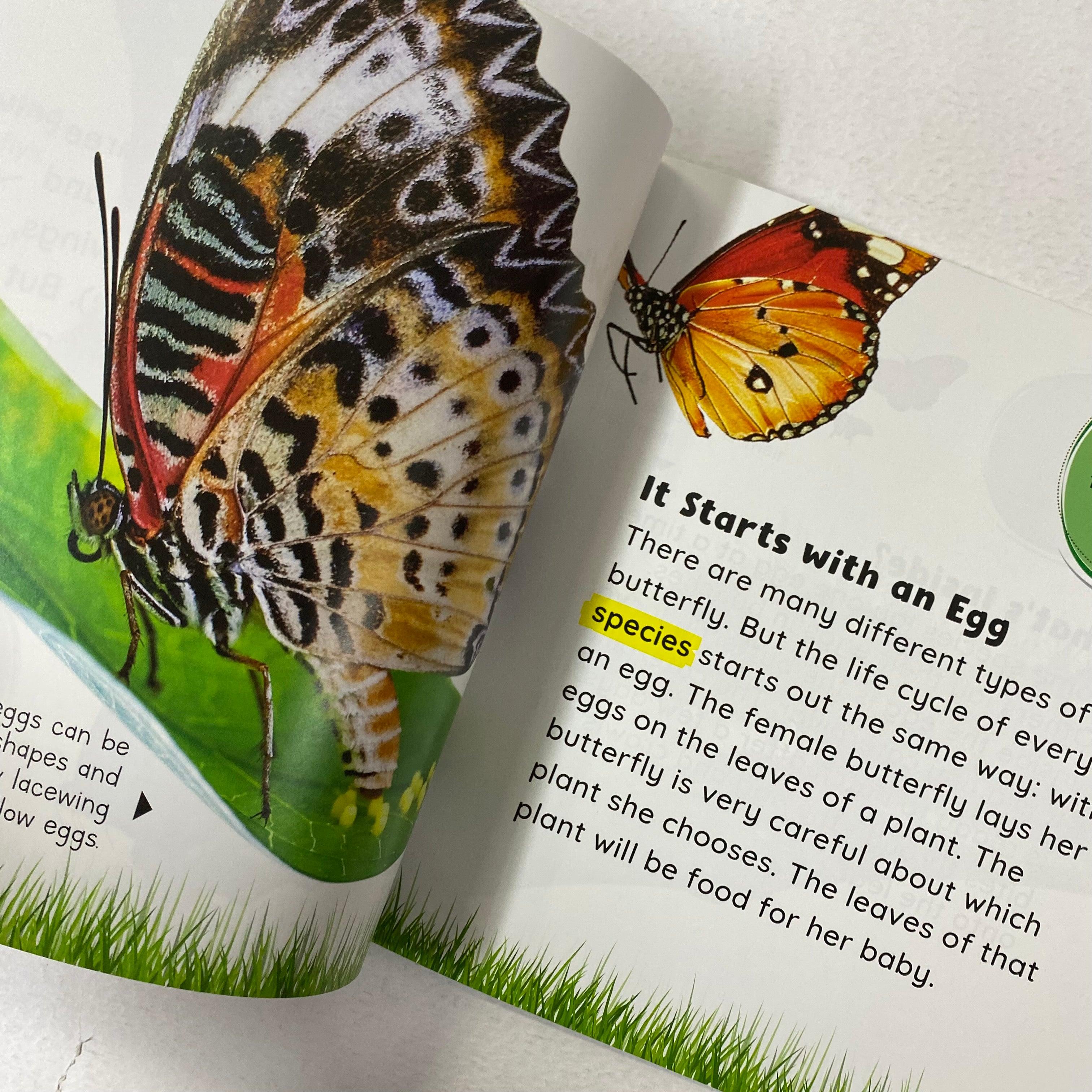 Growing Up - Caterpillar to Butterfly - Spectrawide Bookstore