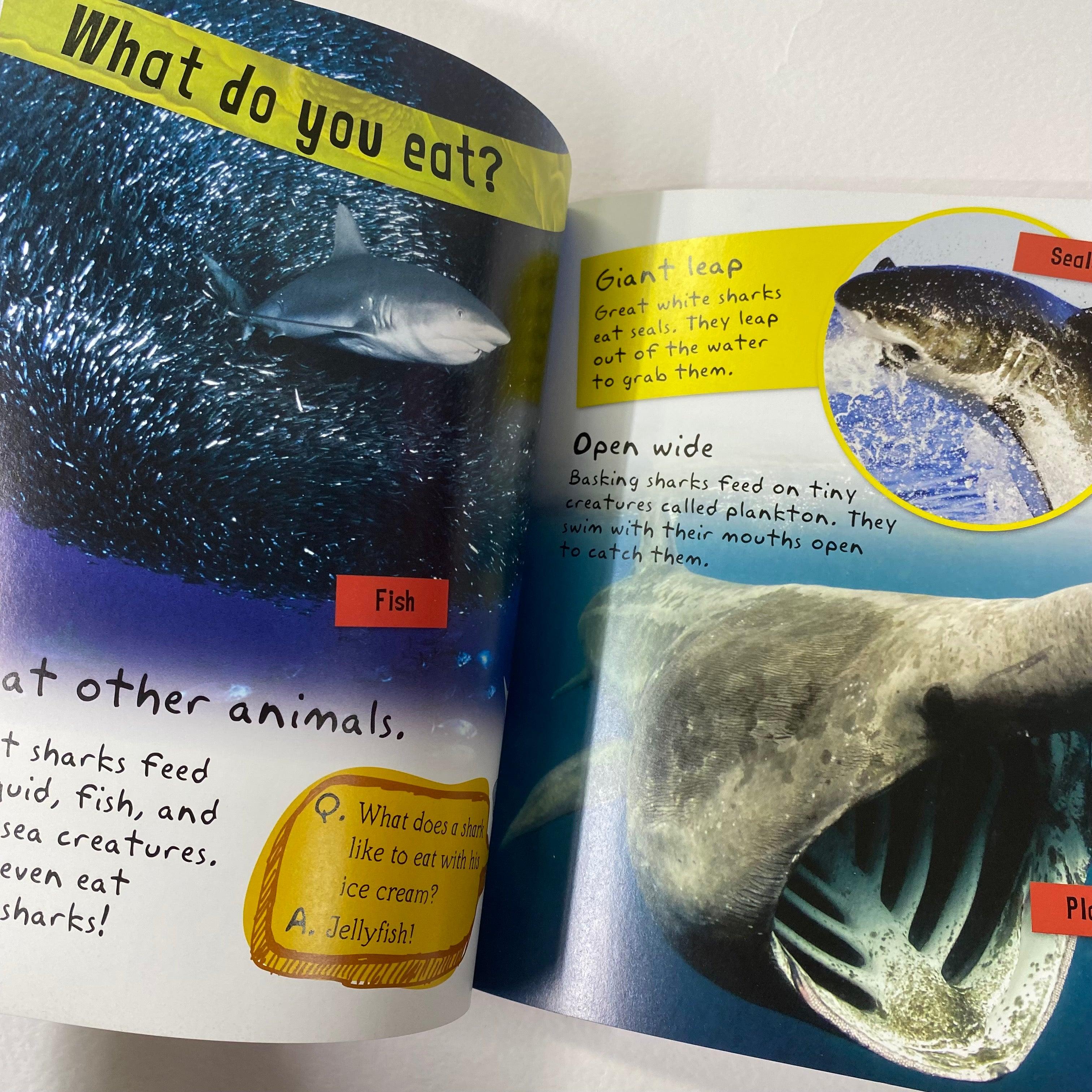 I am a Shark - Includes Stickers, Activities and Story - Spectrawide Bookstore