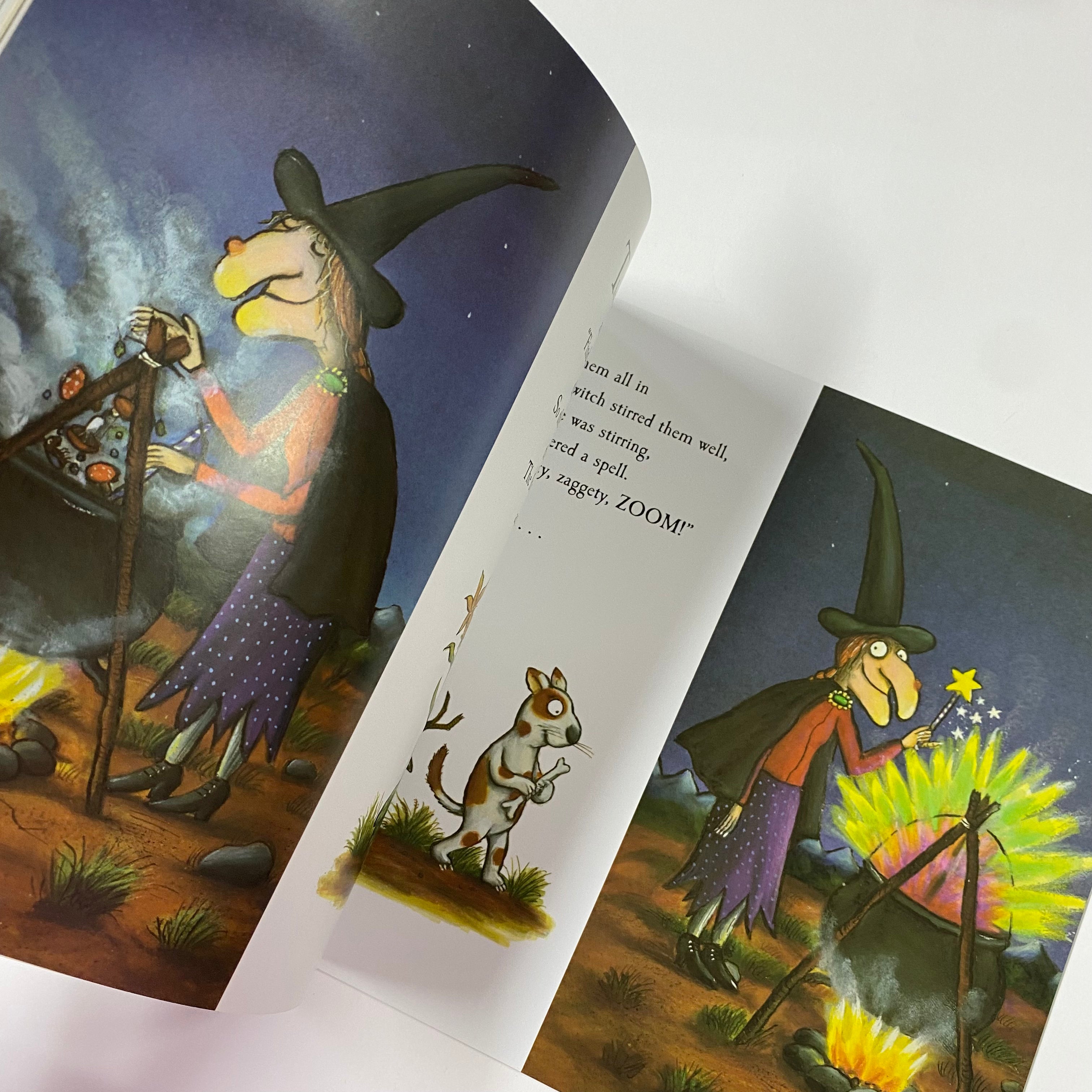 Room on the Broom - Paperback - Spectrawide Bookstore