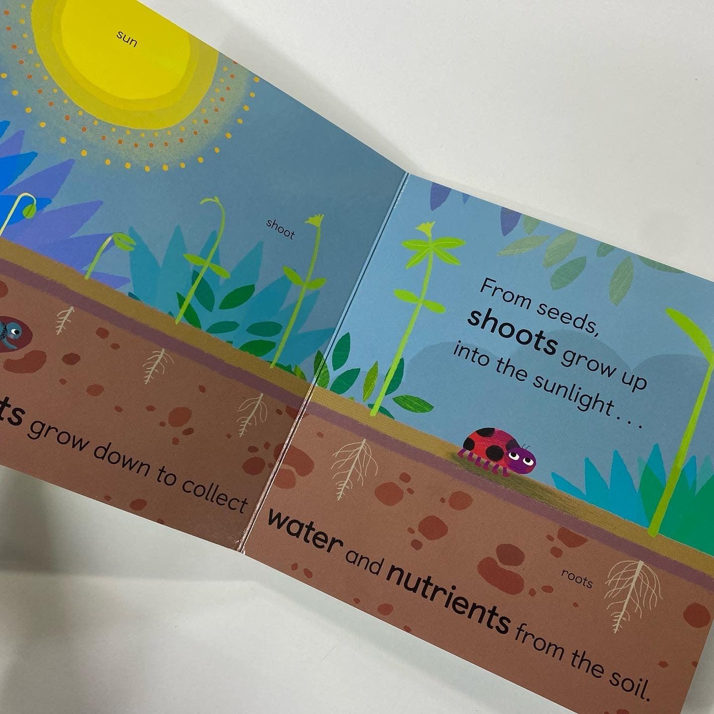 Baby 101 - Botany for Babies Board Book - Spectrawide Bookstore