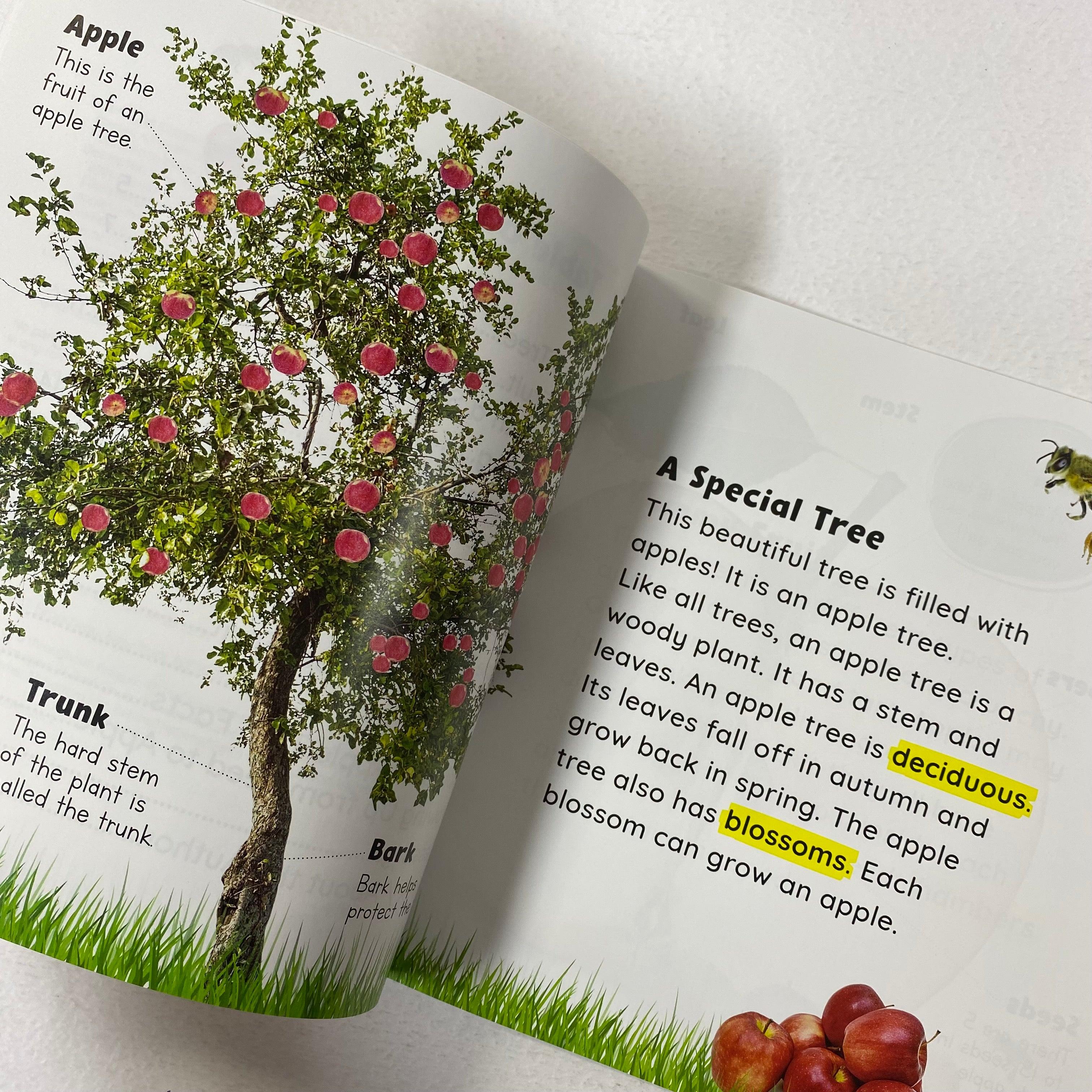 Growing Up - Seed to Apple - Spectrawide Bookstore