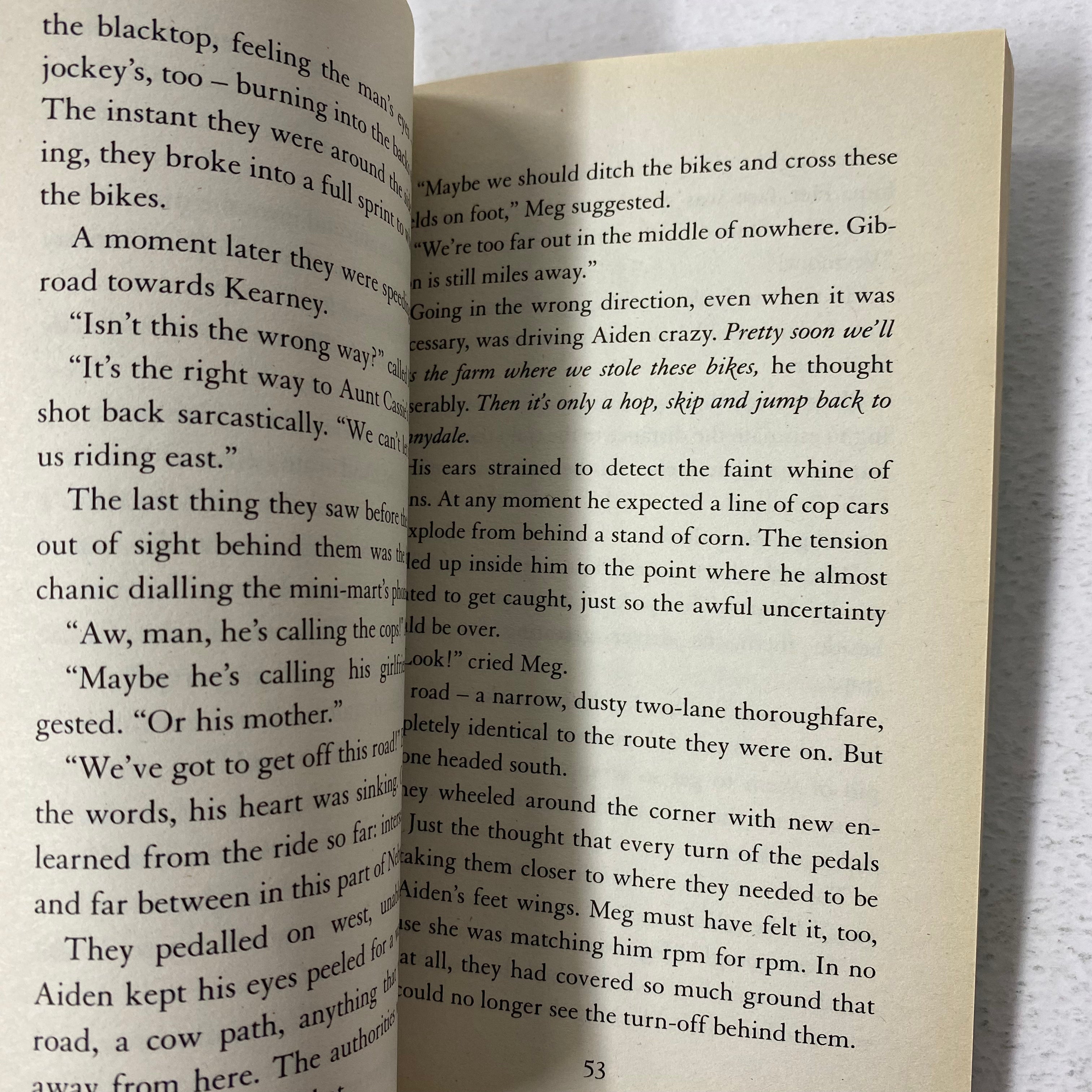 On the Run #1 - Chasing the Falconers - Spectrawide Bookstore