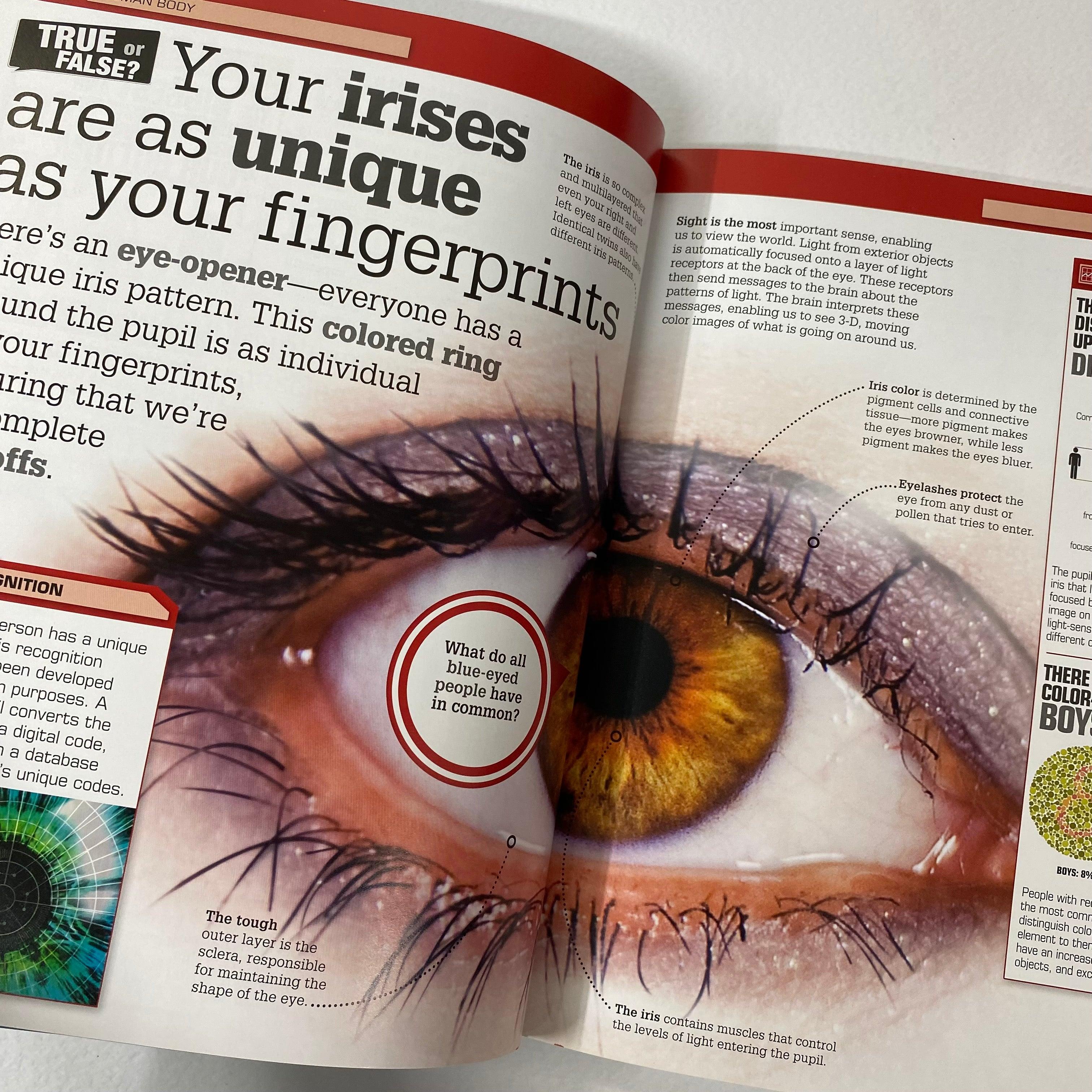 DK - True or False? - The Big Book of Big Questions & Unbelievable Answers - Spectrawide Bookstore