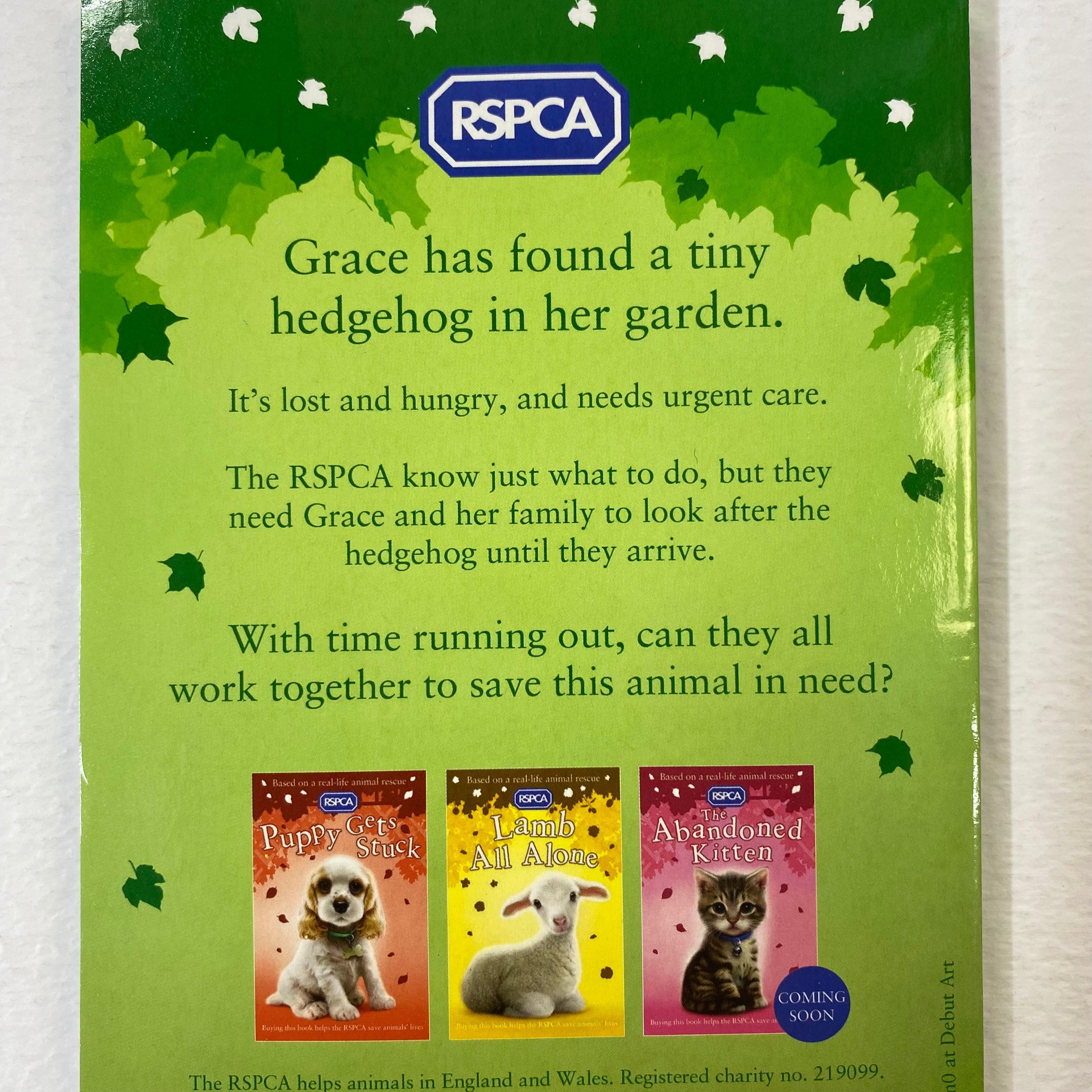 RSPCA Animal Rescue Little Lost Hedgehog