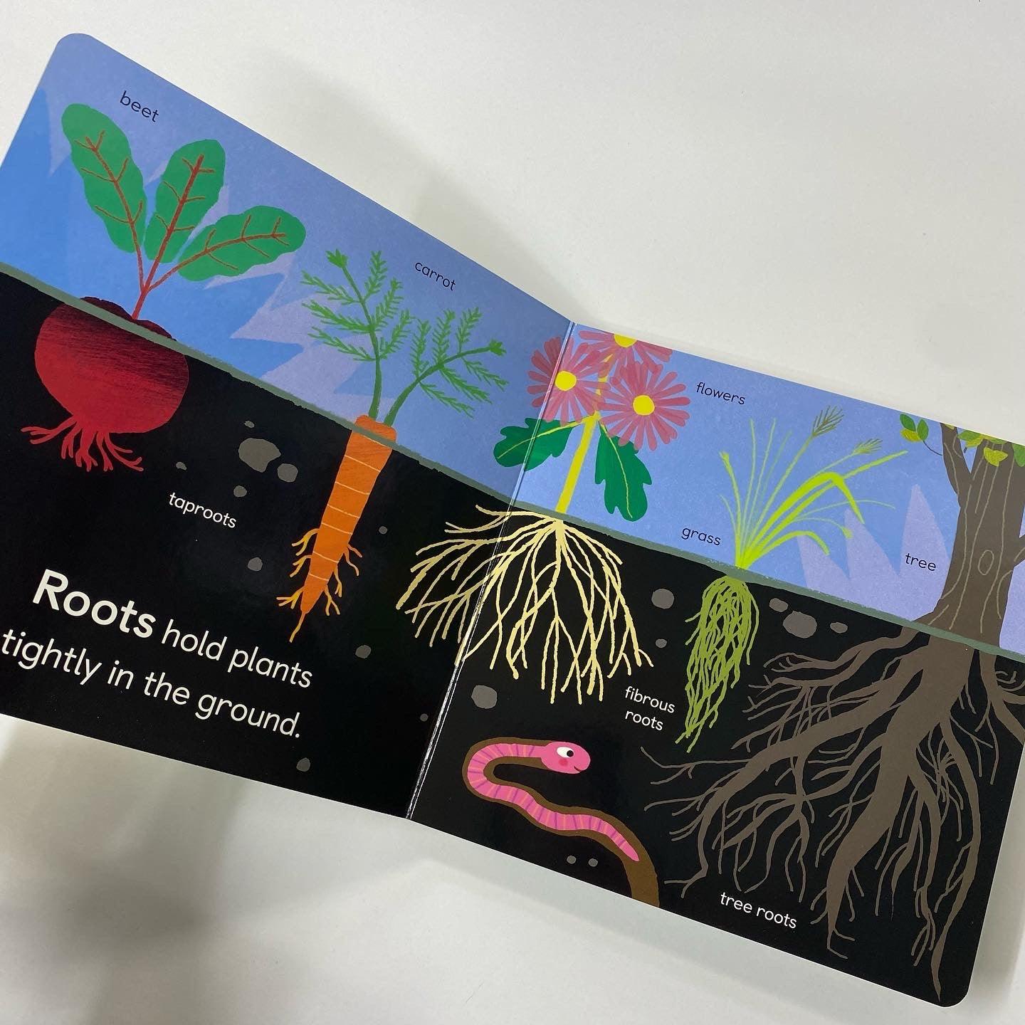 Baby 101 - Botany for Babies Board Book - Spectrawide Bookstore