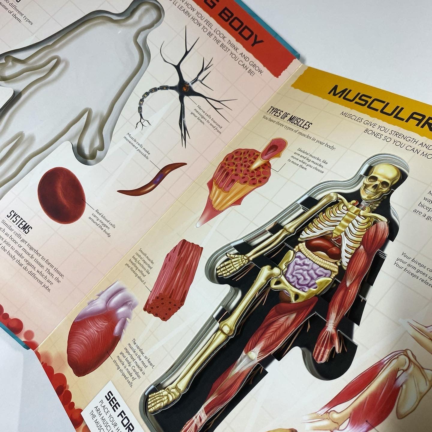 Inside Out Human Body - Explore the World's Most Amazing Machine-You! - Spectrawide Bookstore