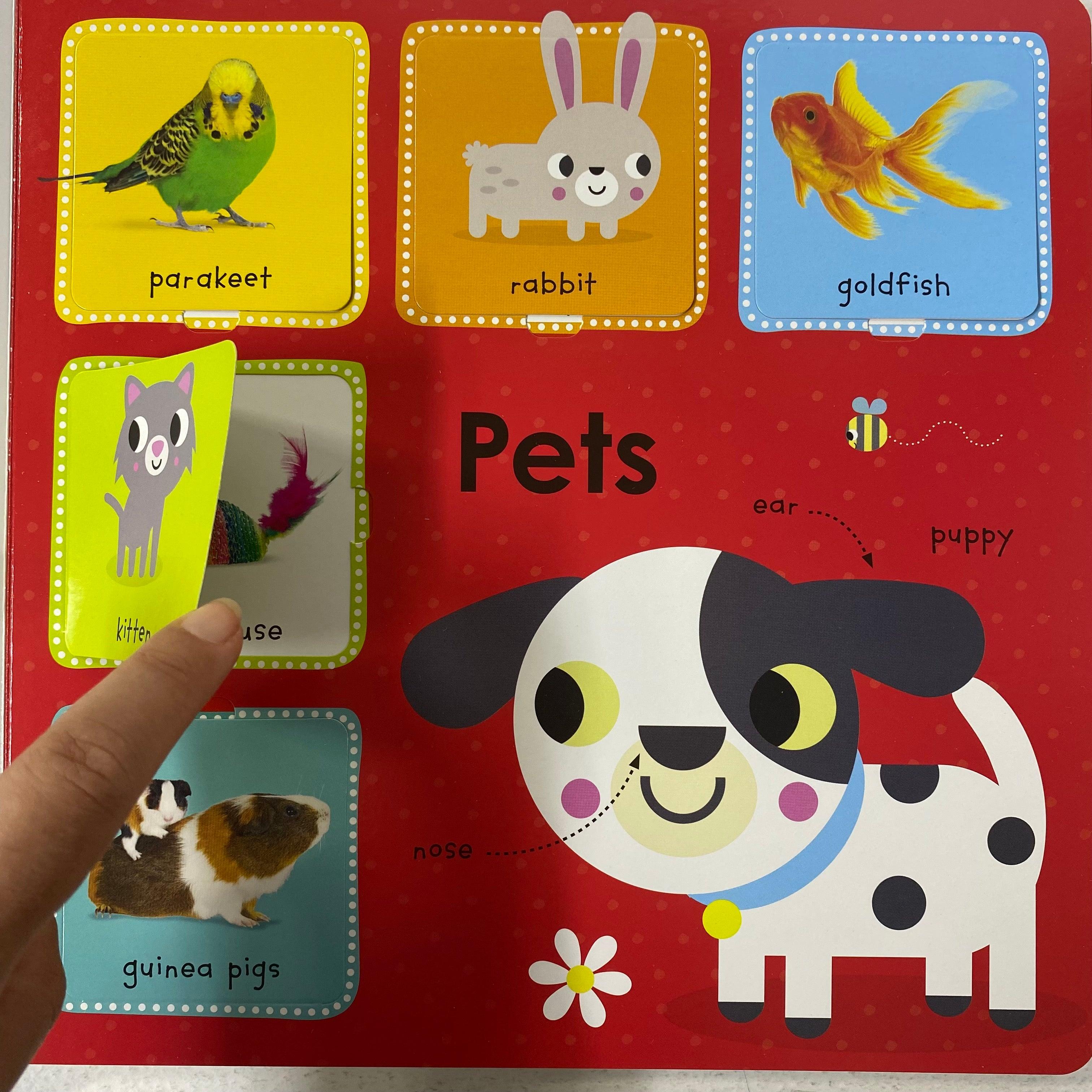 Lift the Flap First 100 Words - Spectrawide Bookstore