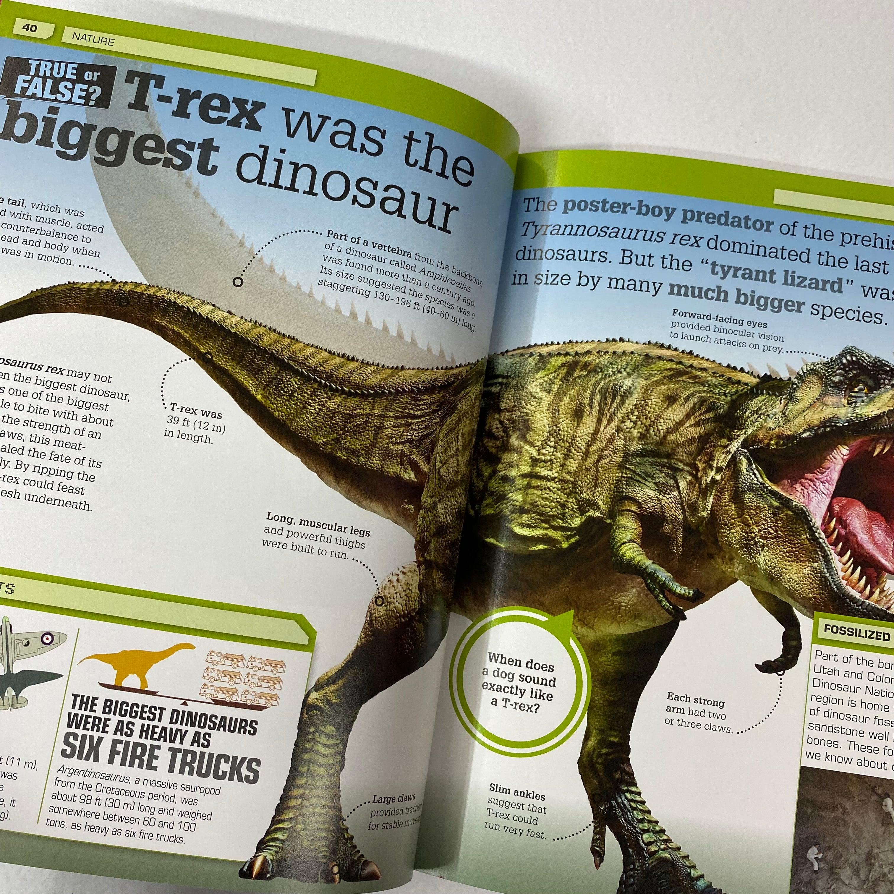 DK - True or False? - The Big Book of Big Questions & Unbelievable Answers - Spectrawide Bookstore