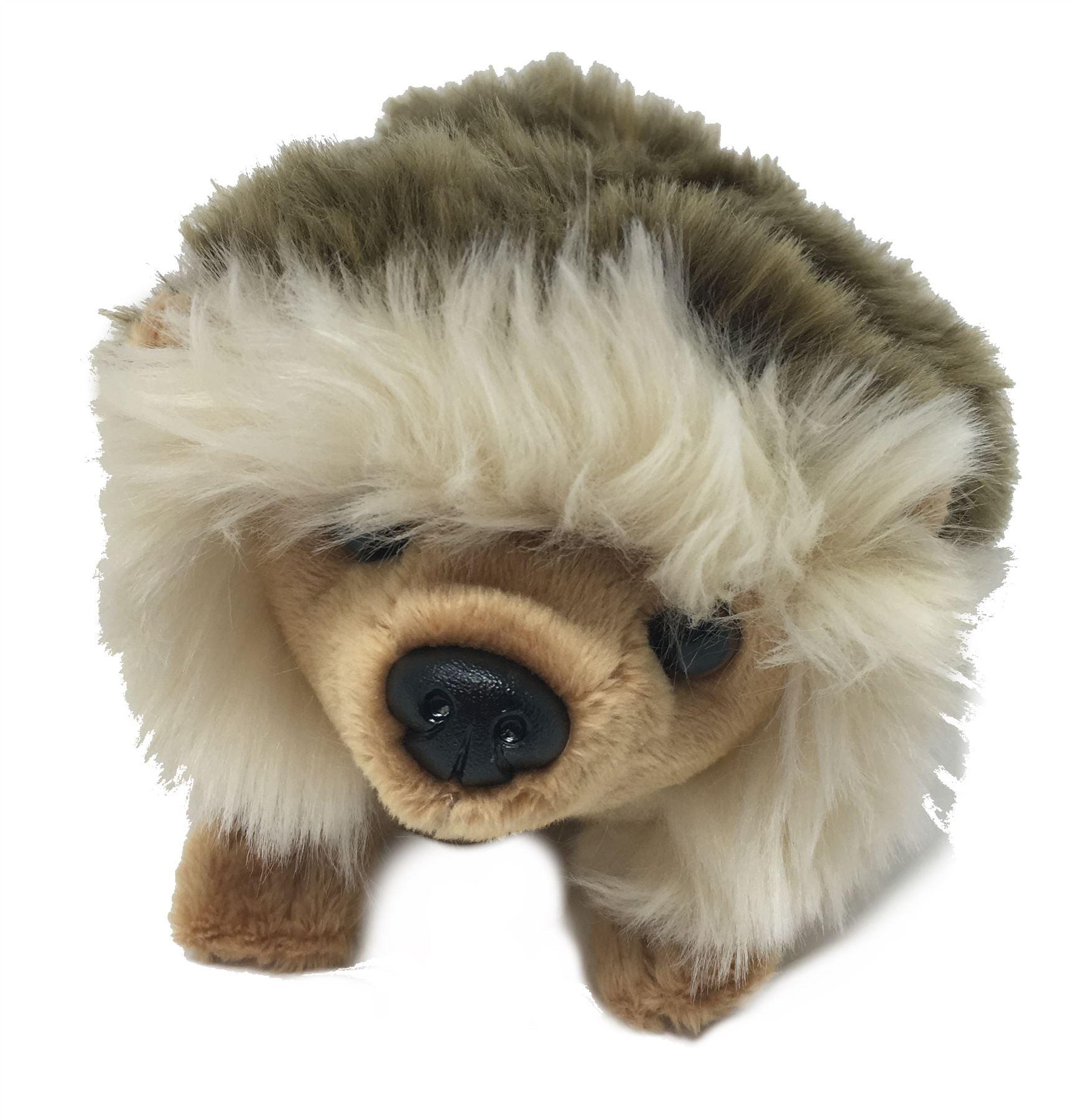 Keel Toy - Hedgehog Plush Toy - Spectrawide Bookstore