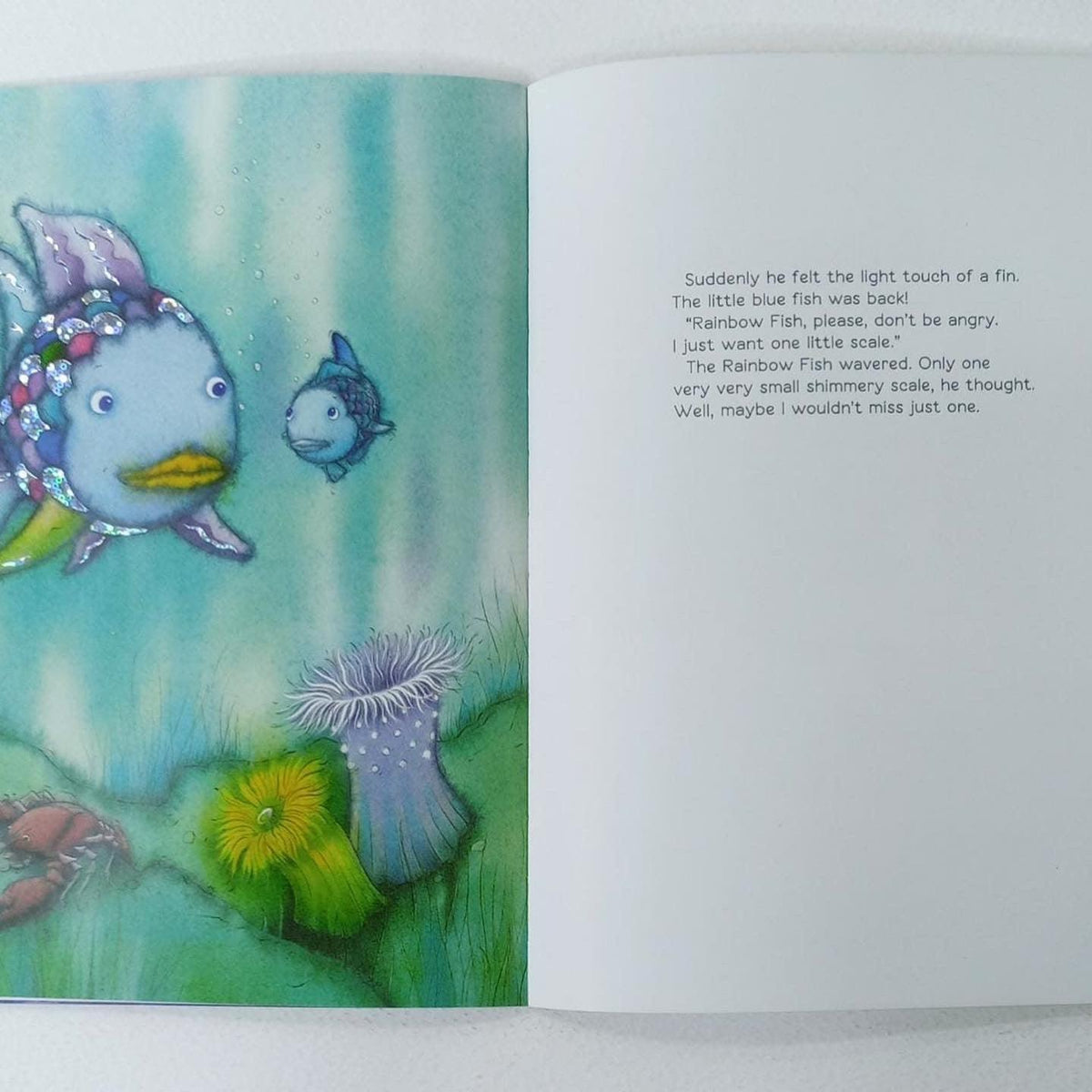 Box Fish Book The Rainbow Fish - Big Book