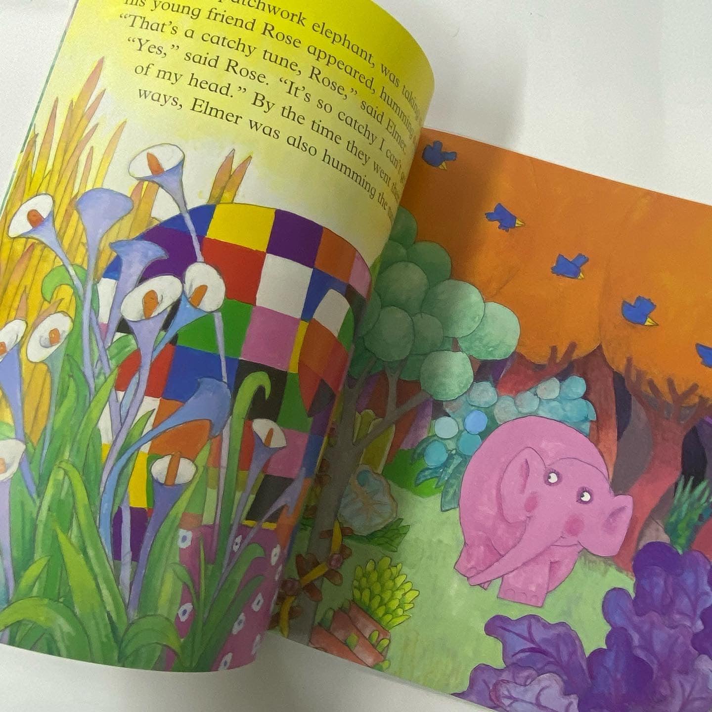 Elmer and the Tune (Picture Books) - Spectrawide Bookstore