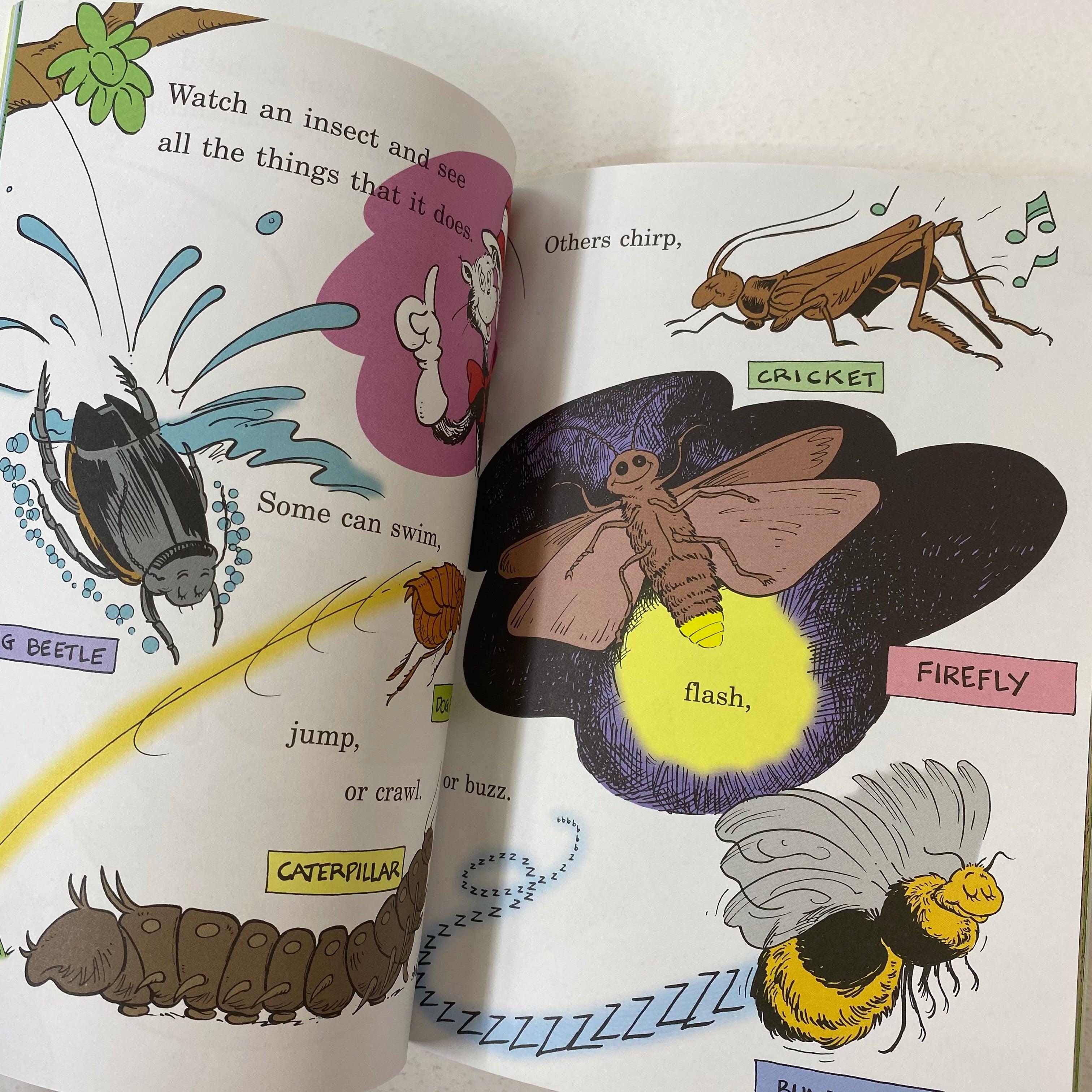 Cat in the Hat's Learning Library 04 - On Beyond Bugs! All About Insec