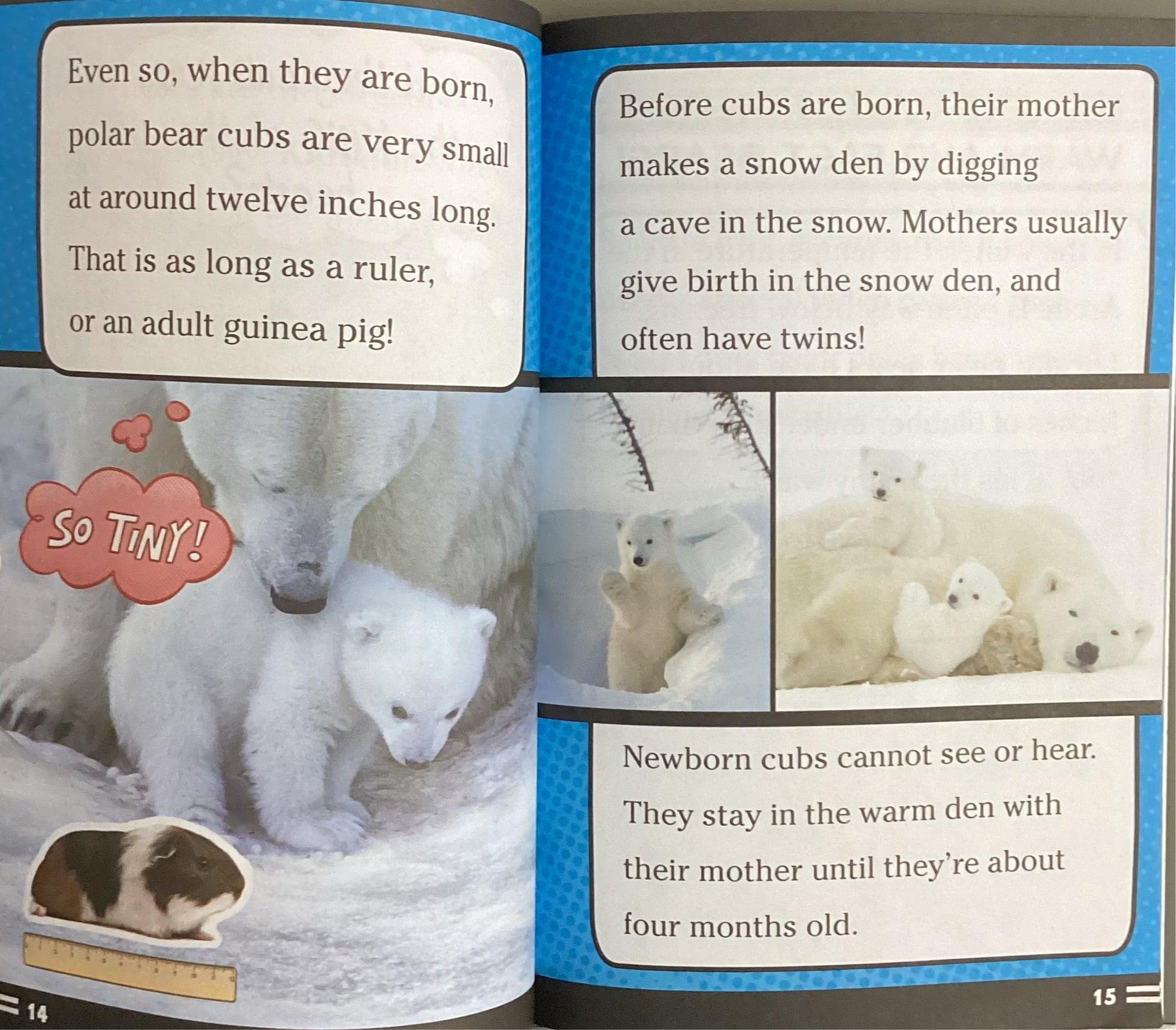 Ready To Read - Level 2 - Super Facts For Super Kids - Polar Bear Fur Isn't White! And Other Amazing Facts - Spectrawide Bookstore