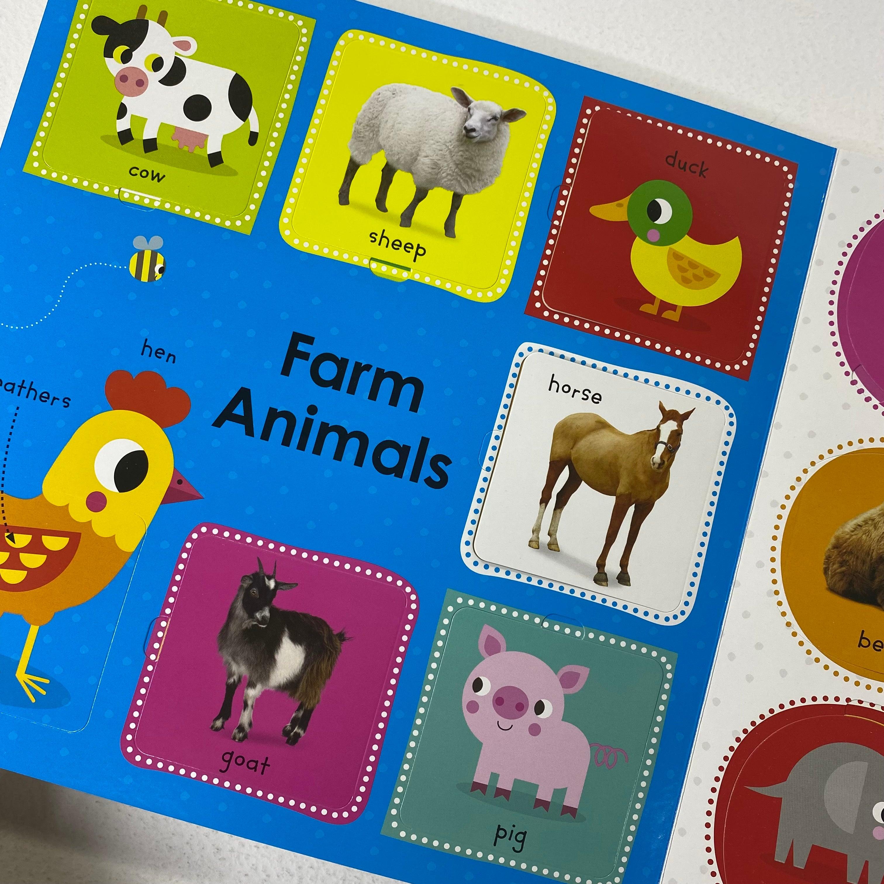 Lift the Flap First 100 Words - Spectrawide Bookstore