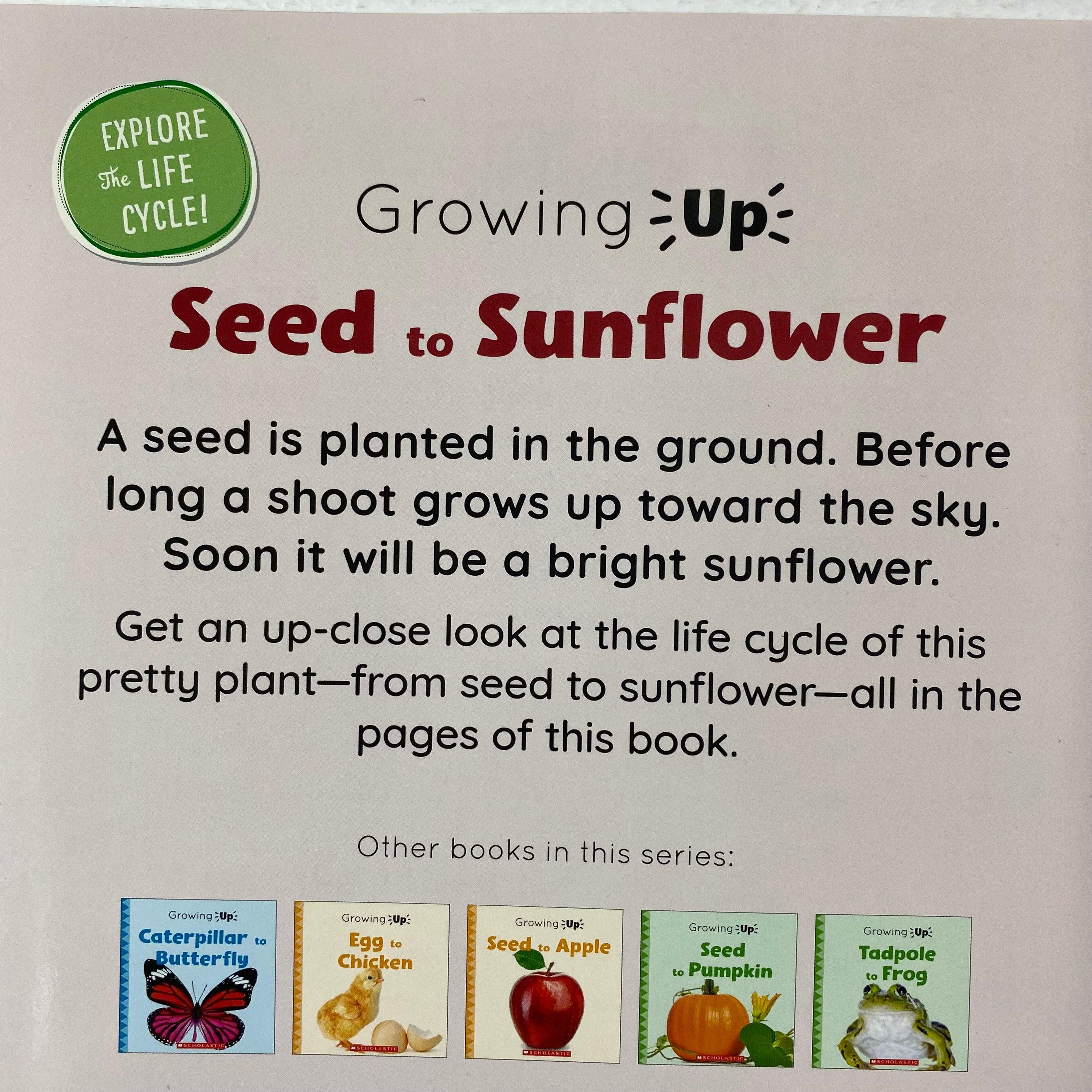 Growing Up - Seed to Sunflower, image size:3024x3024
