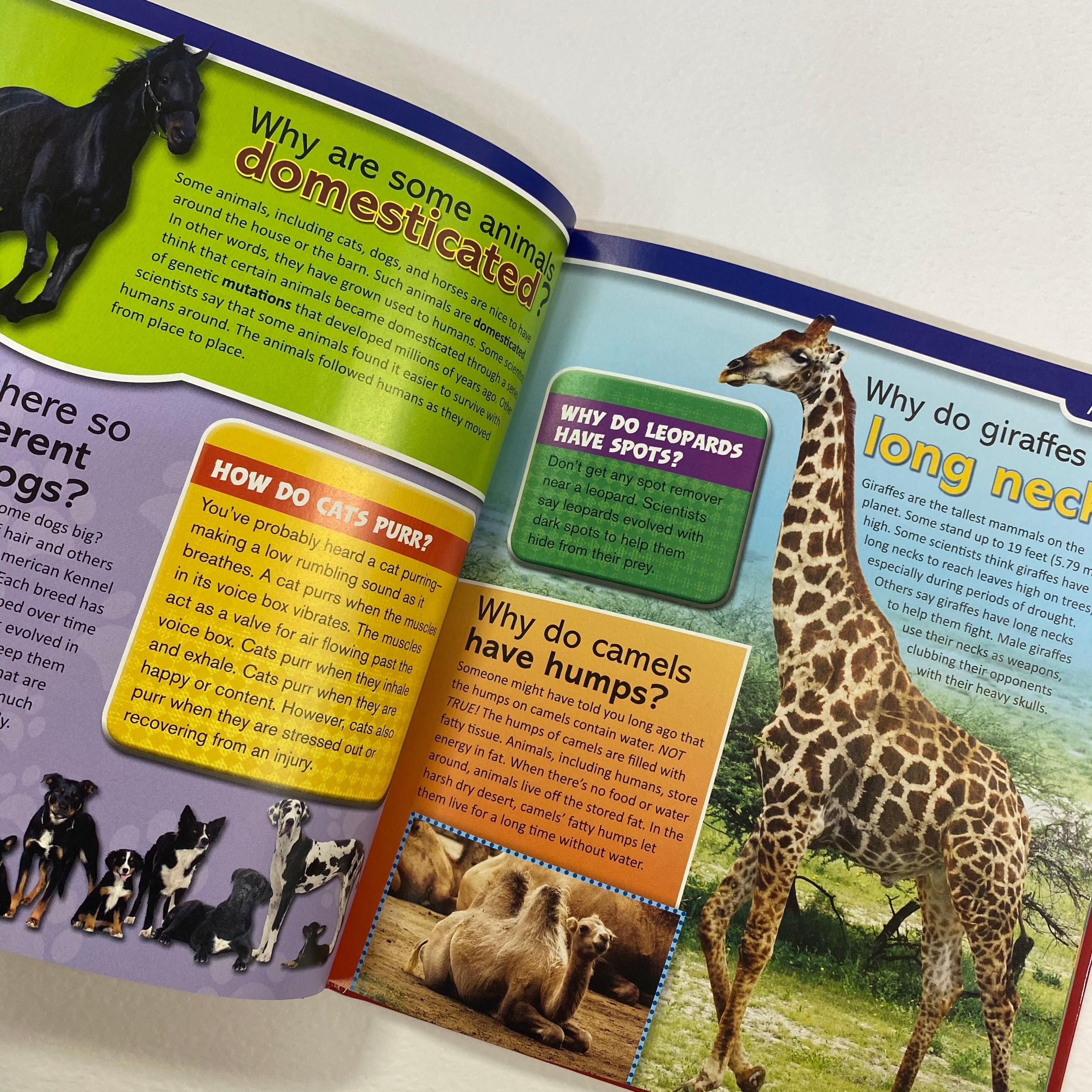 Big Book of WHY: Revised and Updated (A TIME For Kids Book) (TIME for Kids Big Books) [洋書] image_ccbe0071-6d88-4c84-b3cd-
