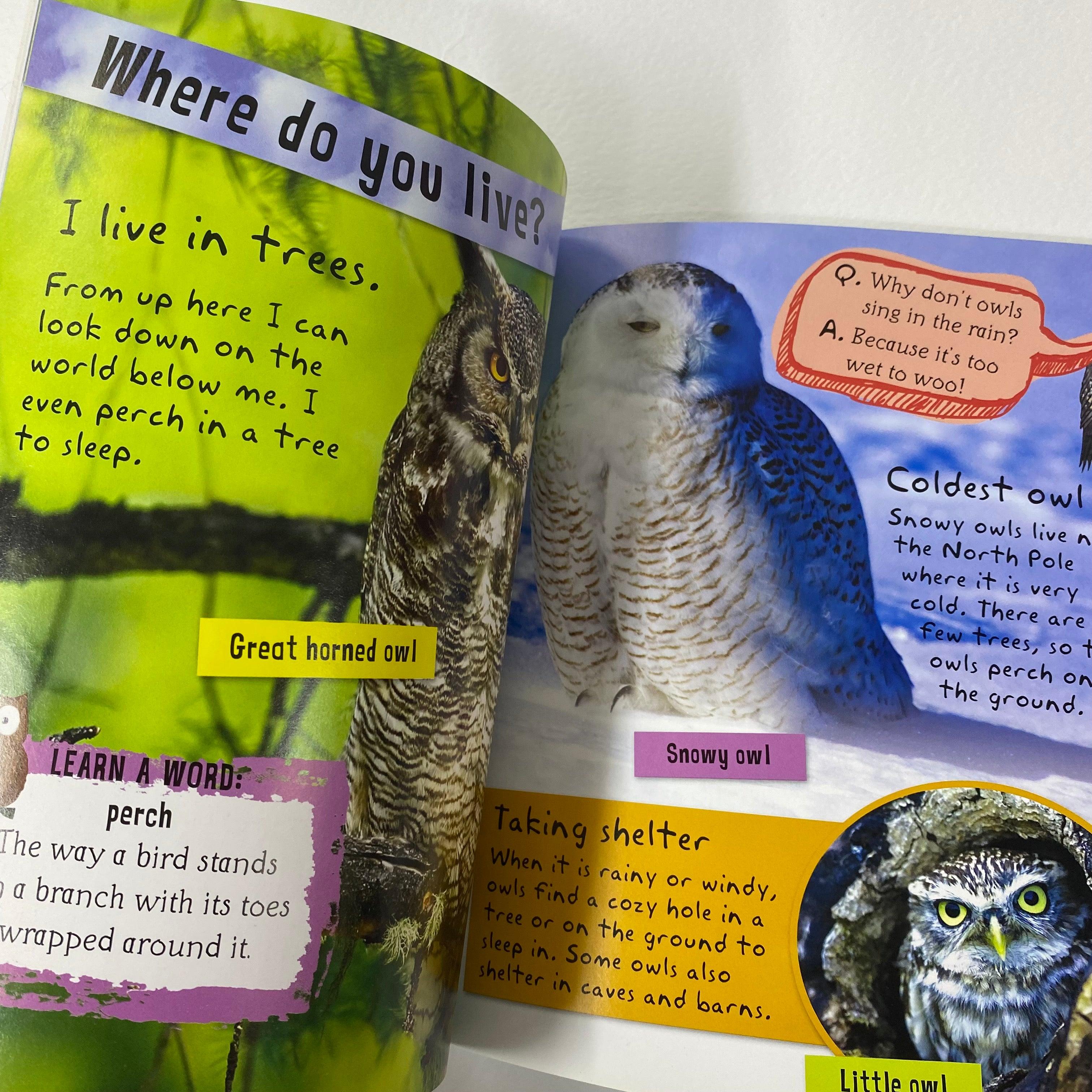 I am an owl - Includes Stickers, Activities and Story - Spectrawide Bookstore